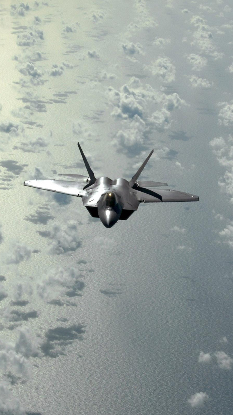 Avion Noir et Blanc Volant Dans le Ciel. Wallpaper in 750x1334 Resolution