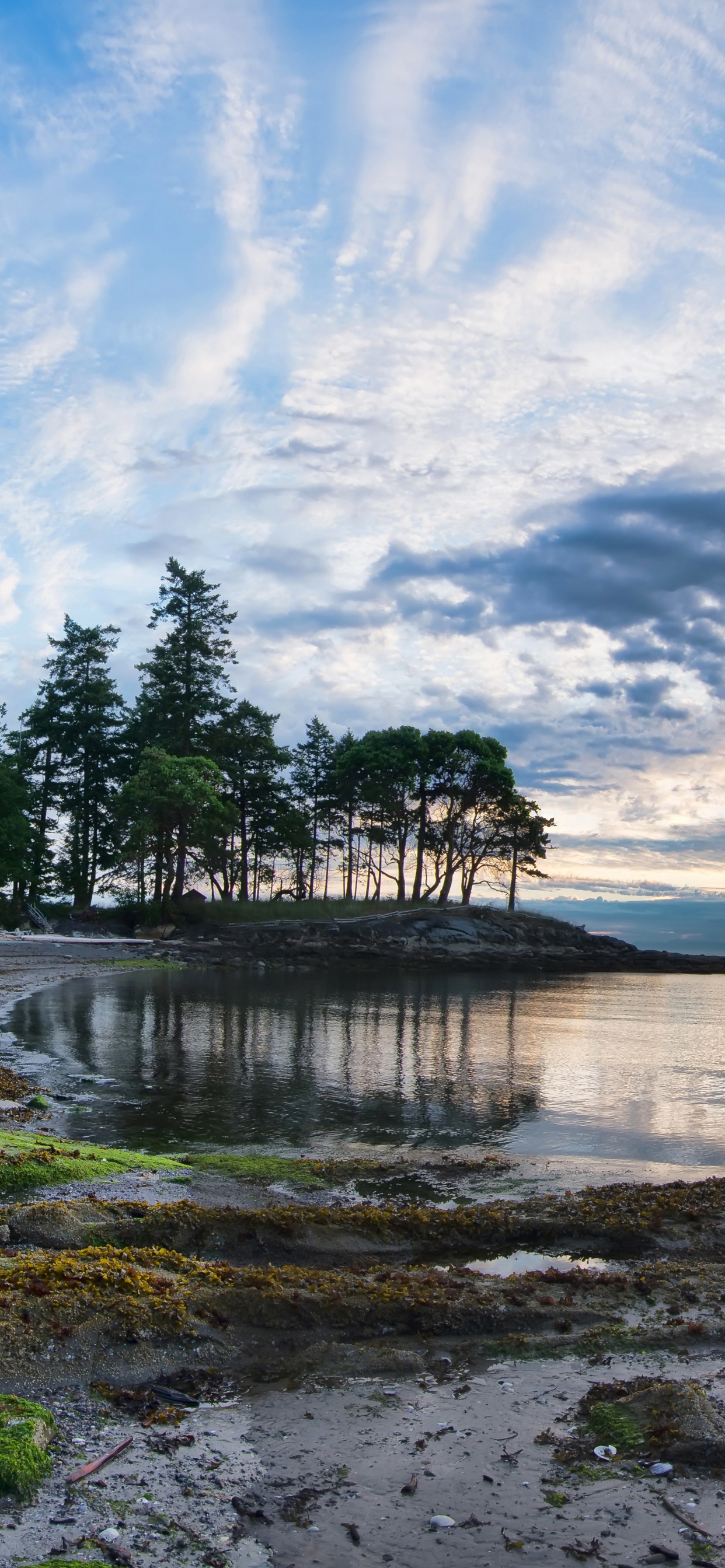 性质, 岸边, 天空, 反射 壁纸 1242x2688 允许