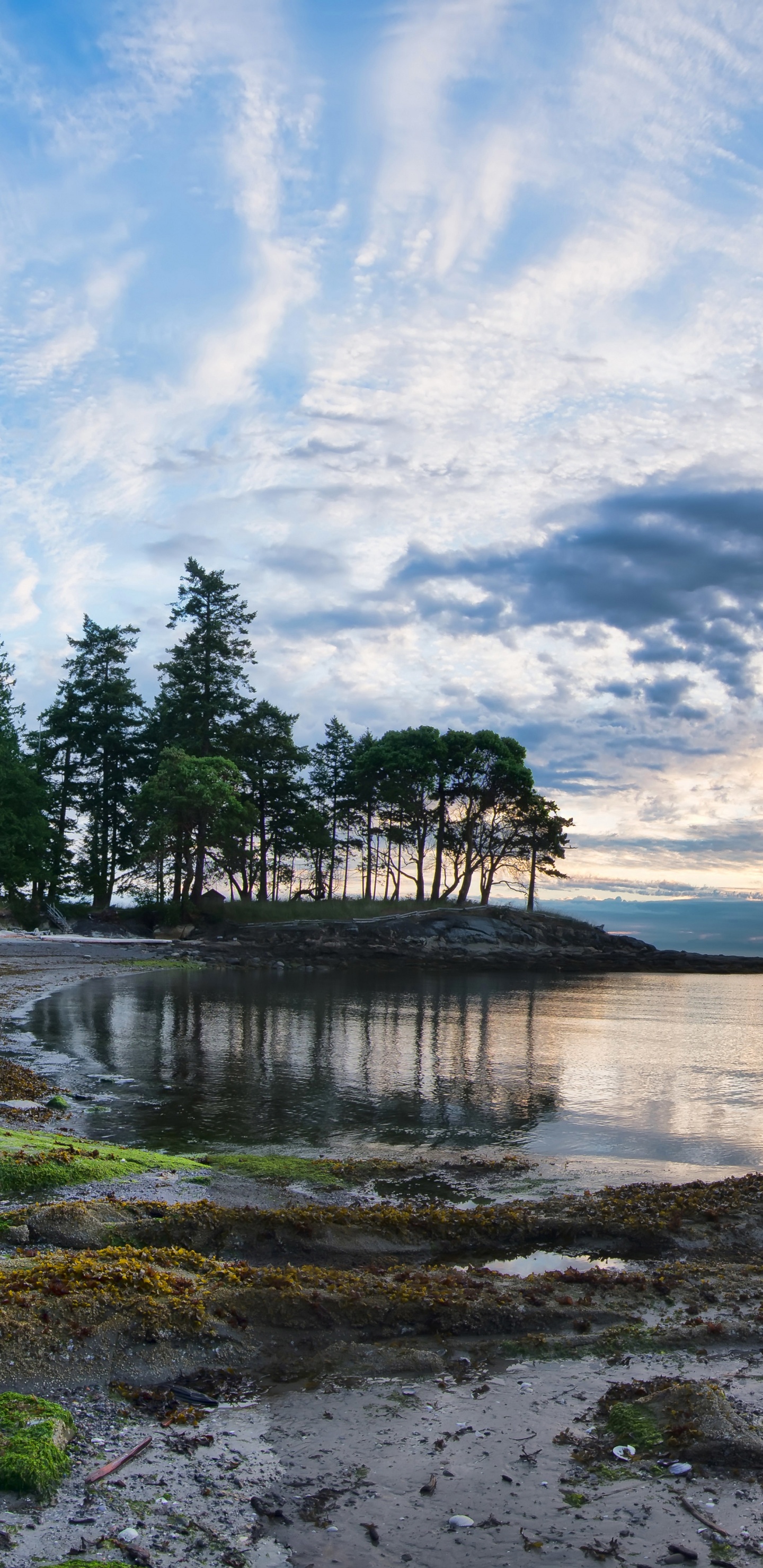 Gewässer Unter Blauem Himmel Tagsüber. Wallpaper in 1440x2960 Resolution