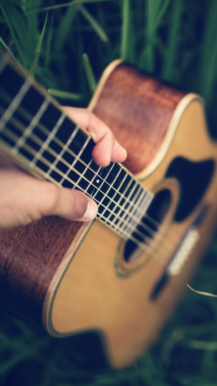 Guitare Acoustique, Guitare, Instrument à Cordes, Guitare Basse, Instrument de Musique. Wallpaper in 720x1280 Resolution