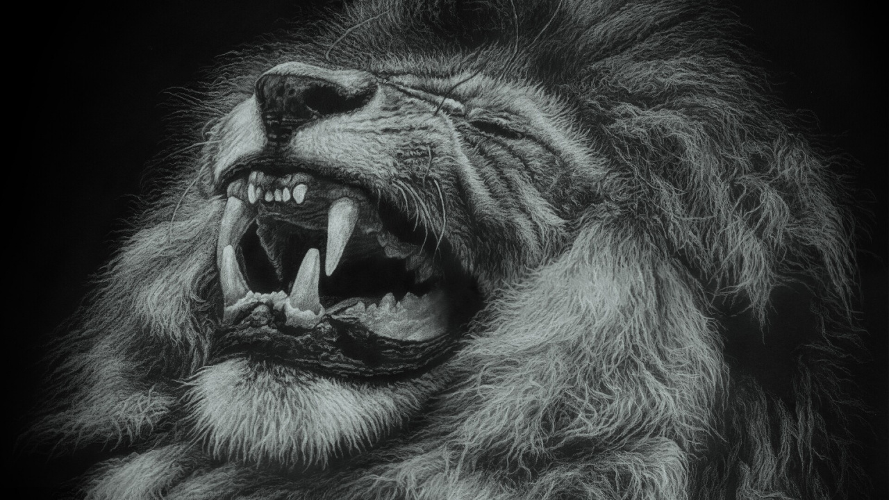Lion Avec la Bouche Ouverte Illustration. Wallpaper in 1280x720 Resolution