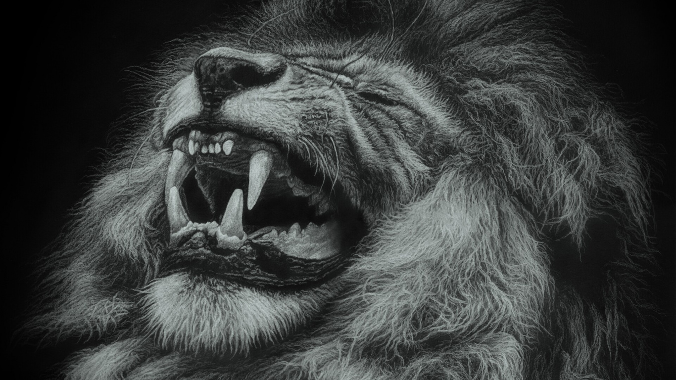Lion With Mouth Open Illustration. Wallpaper in 1366x768 Resolution