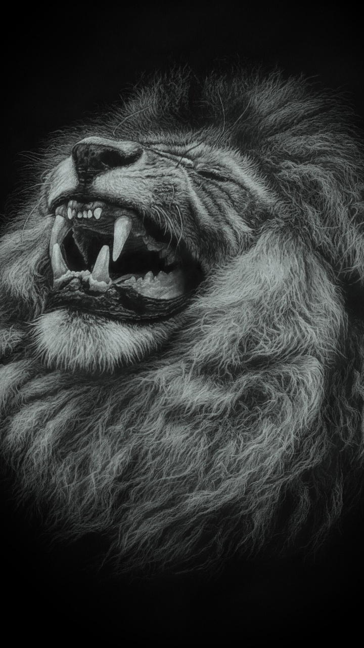 Lion With Mouth Open Illustration. Wallpaper in 720x1280 Resolution