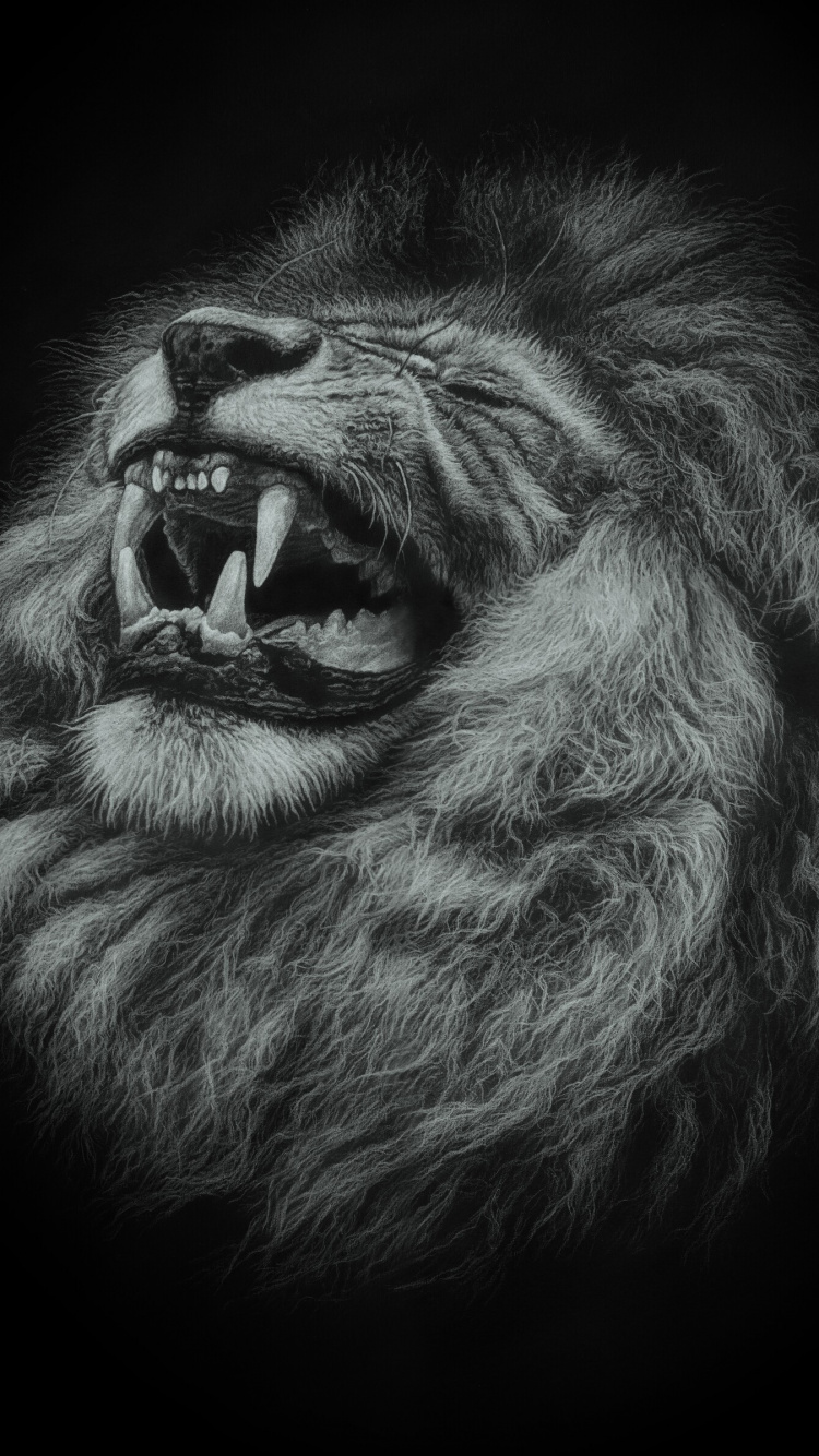 狮子, 绘画, 草图, 胡子, 脸上的毛发 壁纸 750x1334 允许
