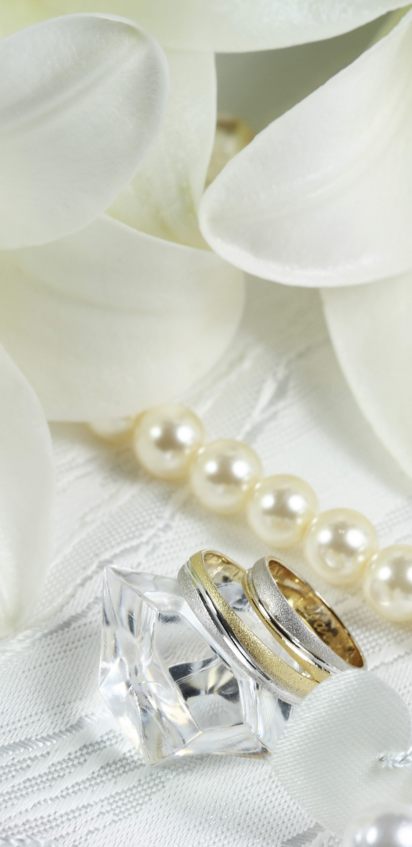 Boda, Perla, Accesorio de Moda, Joya, Gema. Wallpaper in 1440x2960 Resolution