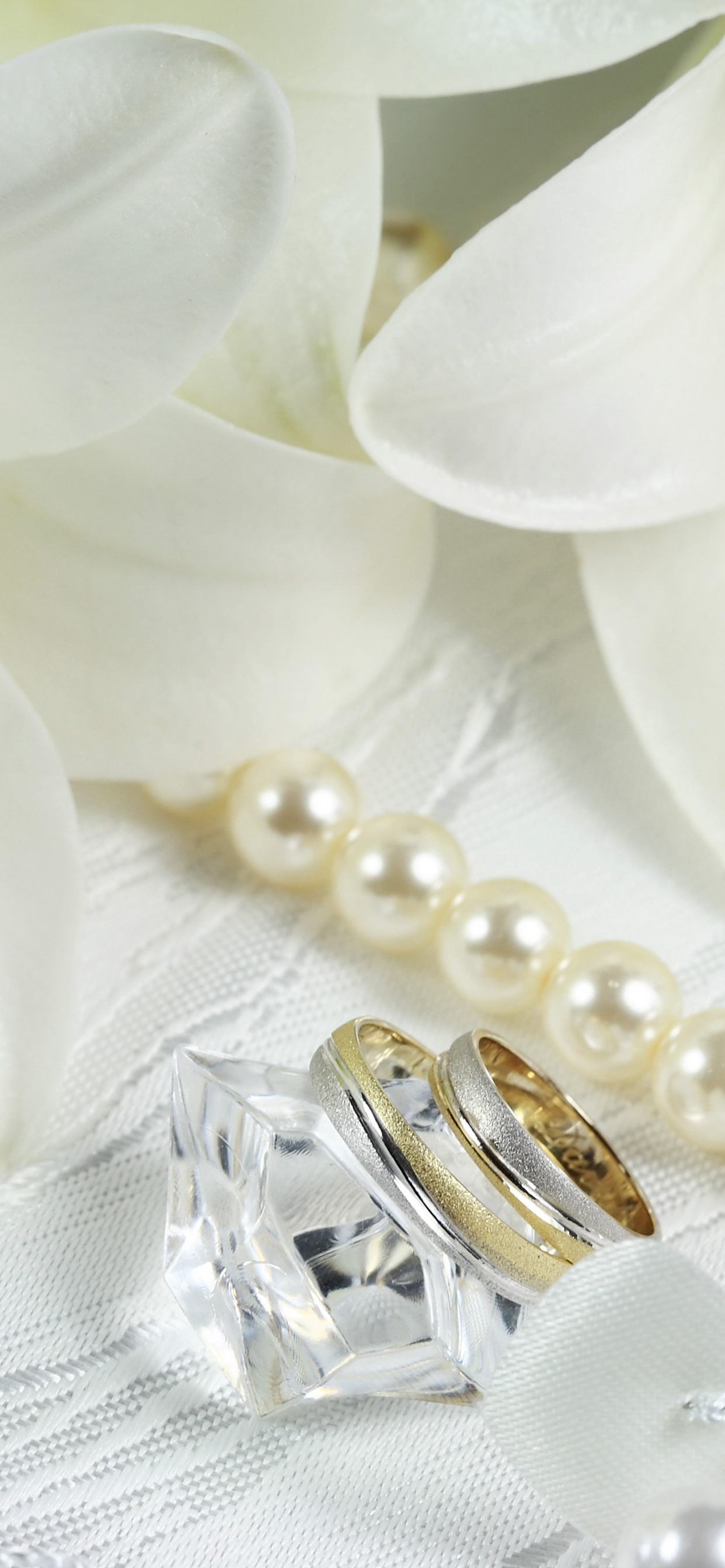 Perle, Accessoire de Mode, Bijouterie, Gemme, Bijoux de Corps. Wallpaper in 1242x2688 Resolution