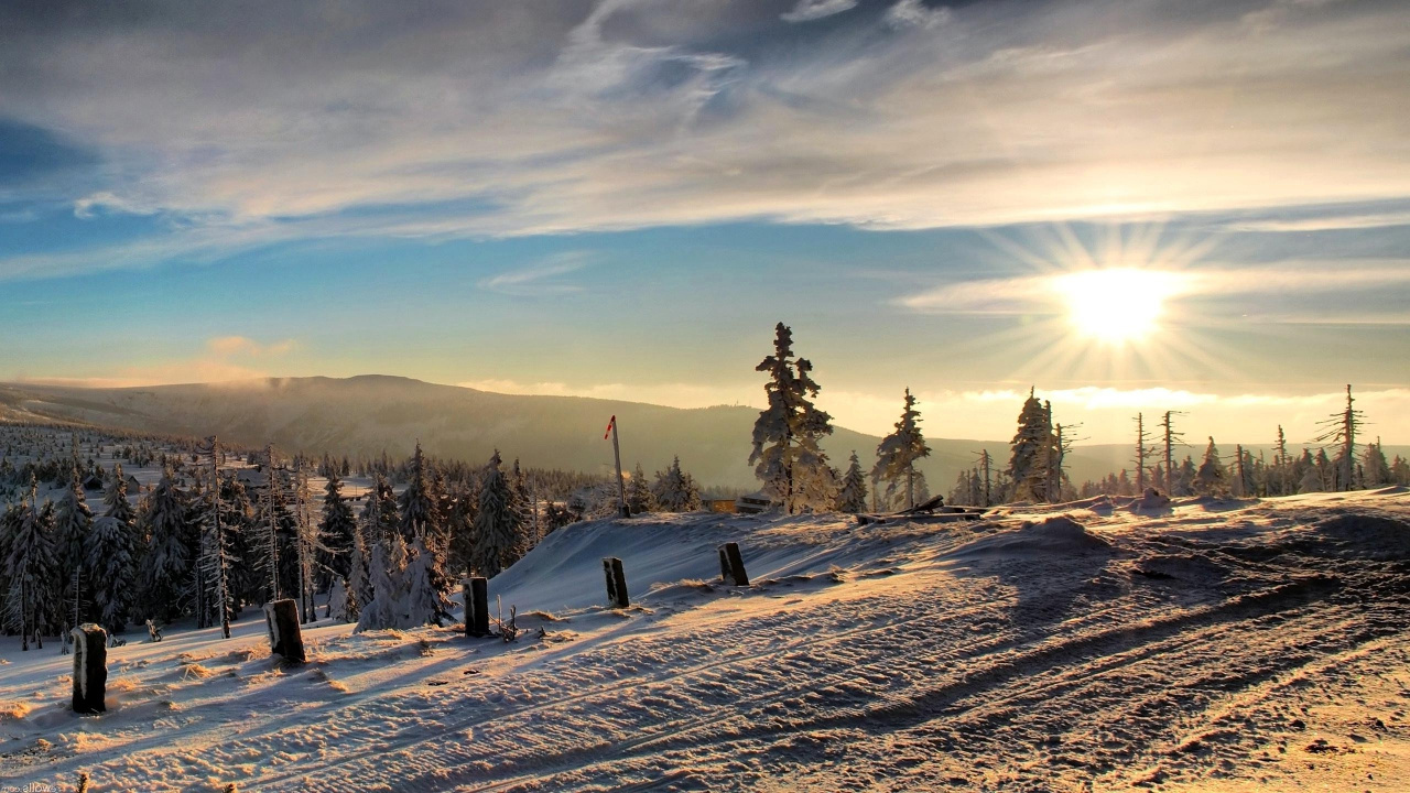 Campo Cubierto de Nieve y Árboles Durante el Amanecer. Wallpaper in 1280x720 Resolution