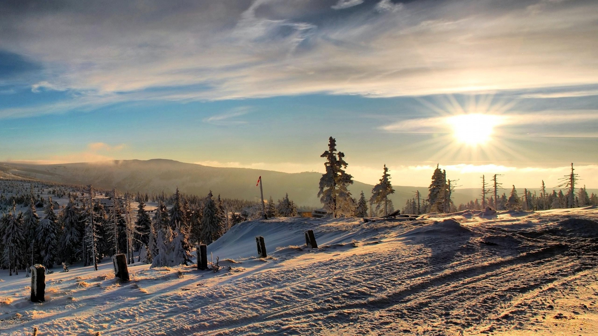 Campo Cubierto de Nieve y Árboles Durante el Amanecer. Wallpaper in 1920x1080 Resolution