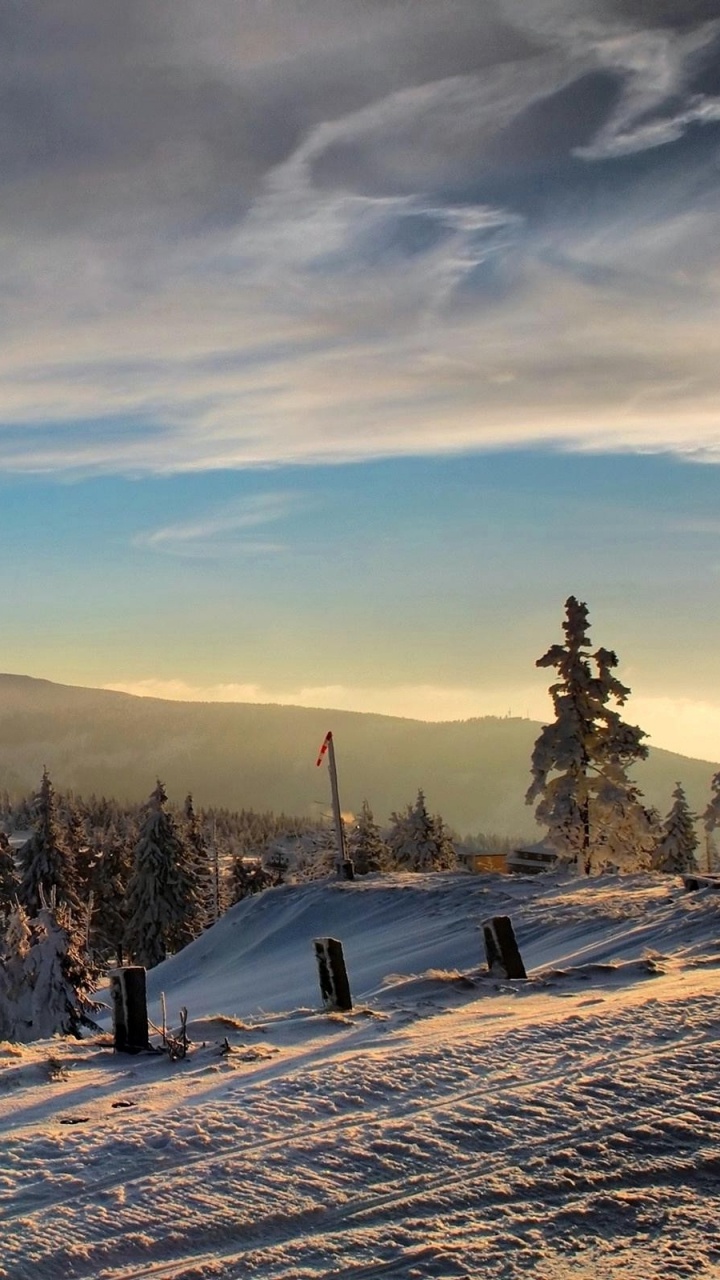 Snow Covered Field and Trees During Sunrise. Wallpaper in 720x1280 Resolution