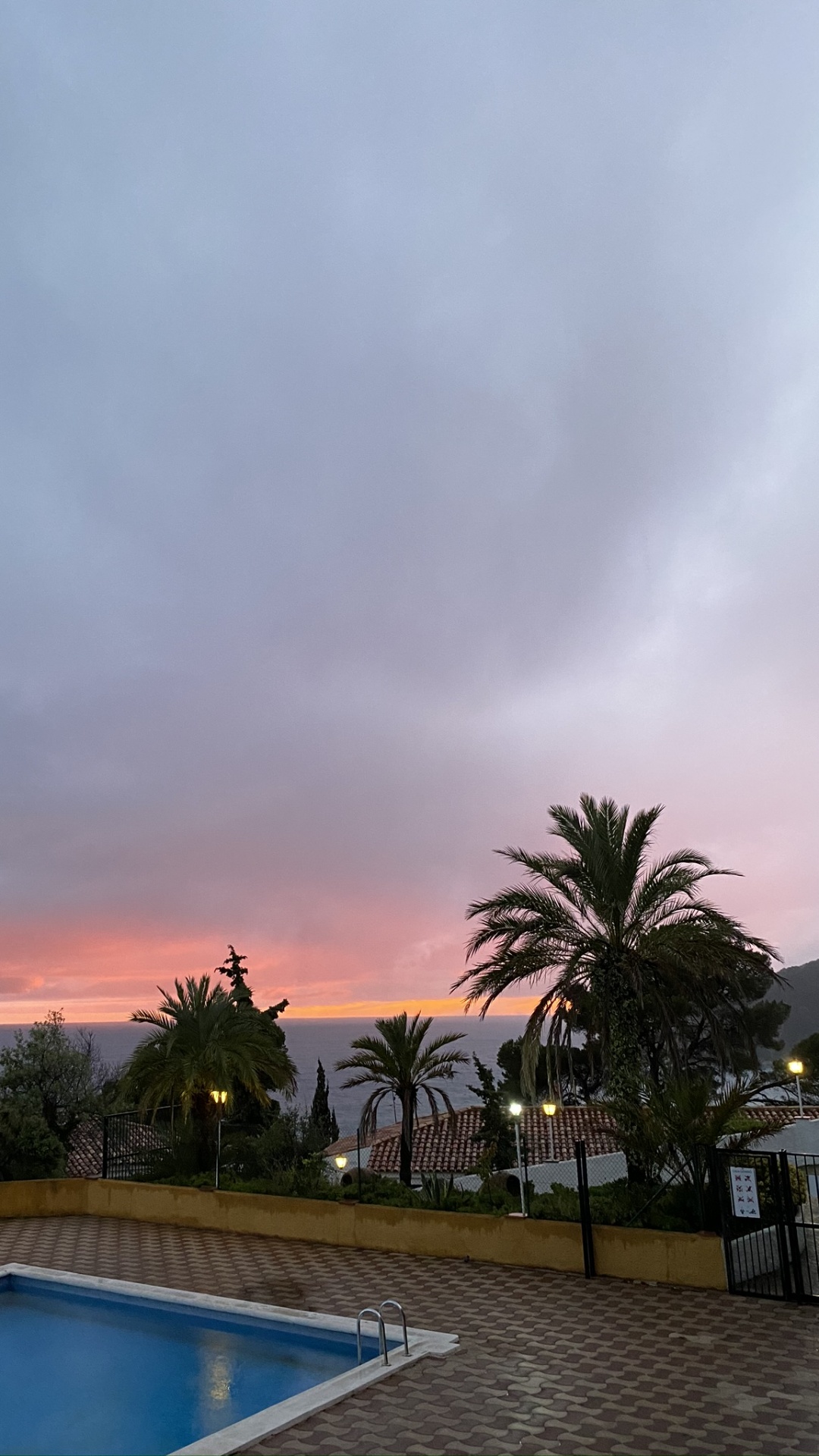 Palm Trees, Swimming Pool, Dusk, Real Estate, Resort. Wallpaper in 1080x1920 Resolution