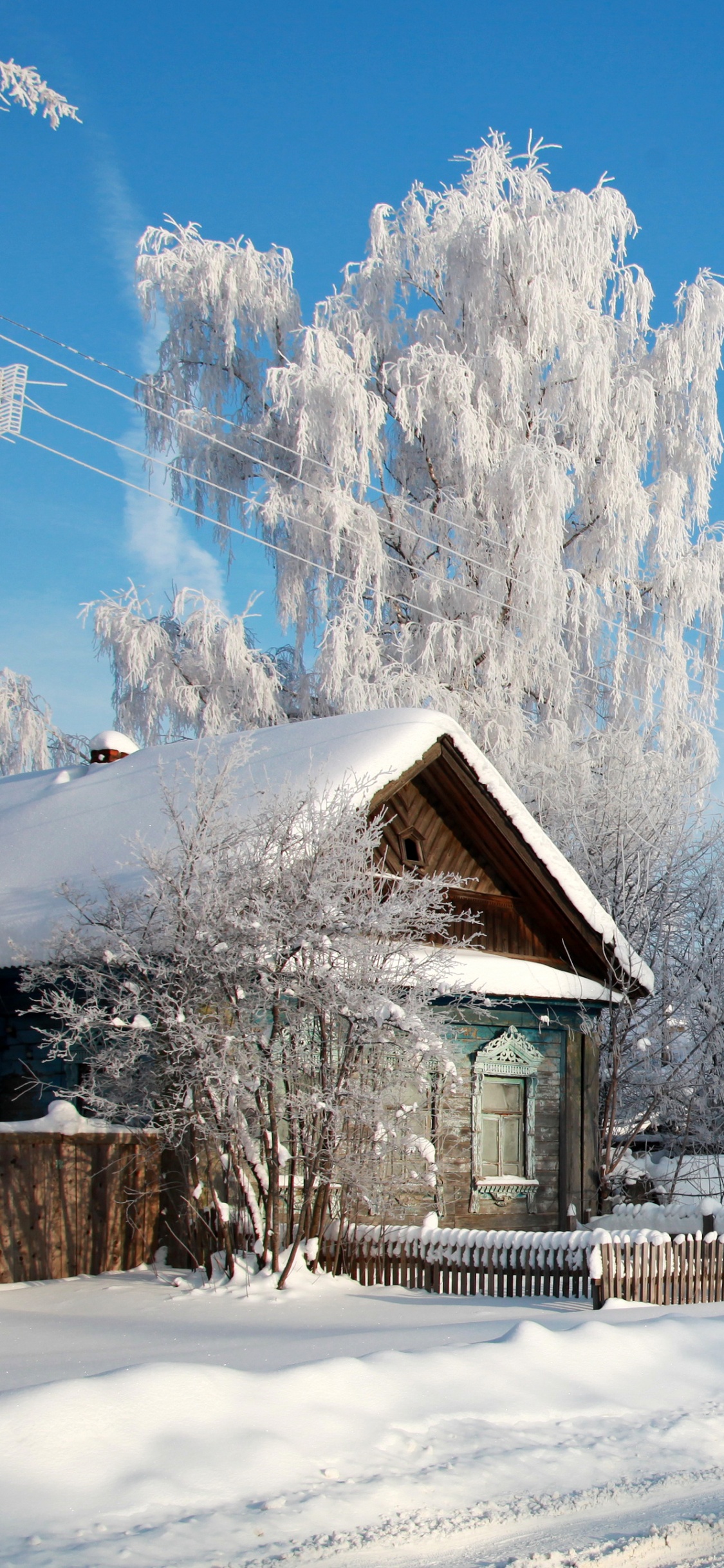 Maison en Bois Marron Près Des Arbres Couverts de Neige Sous Ciel Bleu Pendant la Journée. Wallpaper in 1125x2436 Resolution