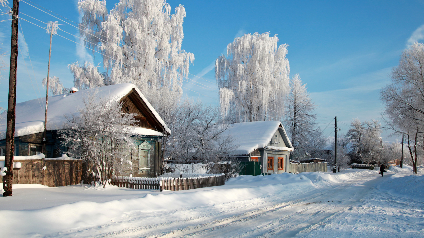 Maison en Bois Marron Près Des Arbres Couverts de Neige Sous Ciel Bleu Pendant la Journée. Wallpaper in 1366x768 Resolution