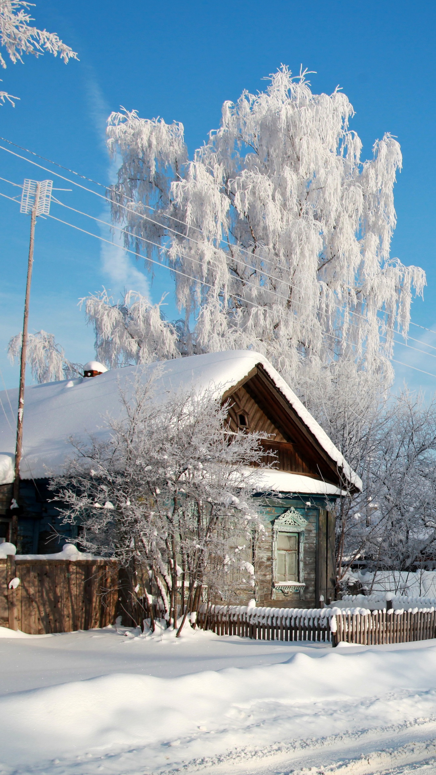 Braunes Holzhaus in Der Nähe Von Schneebedeckten Bäumen Unter Blauem Himmel Tagsüber. Wallpaper in 1440x2560 Resolution