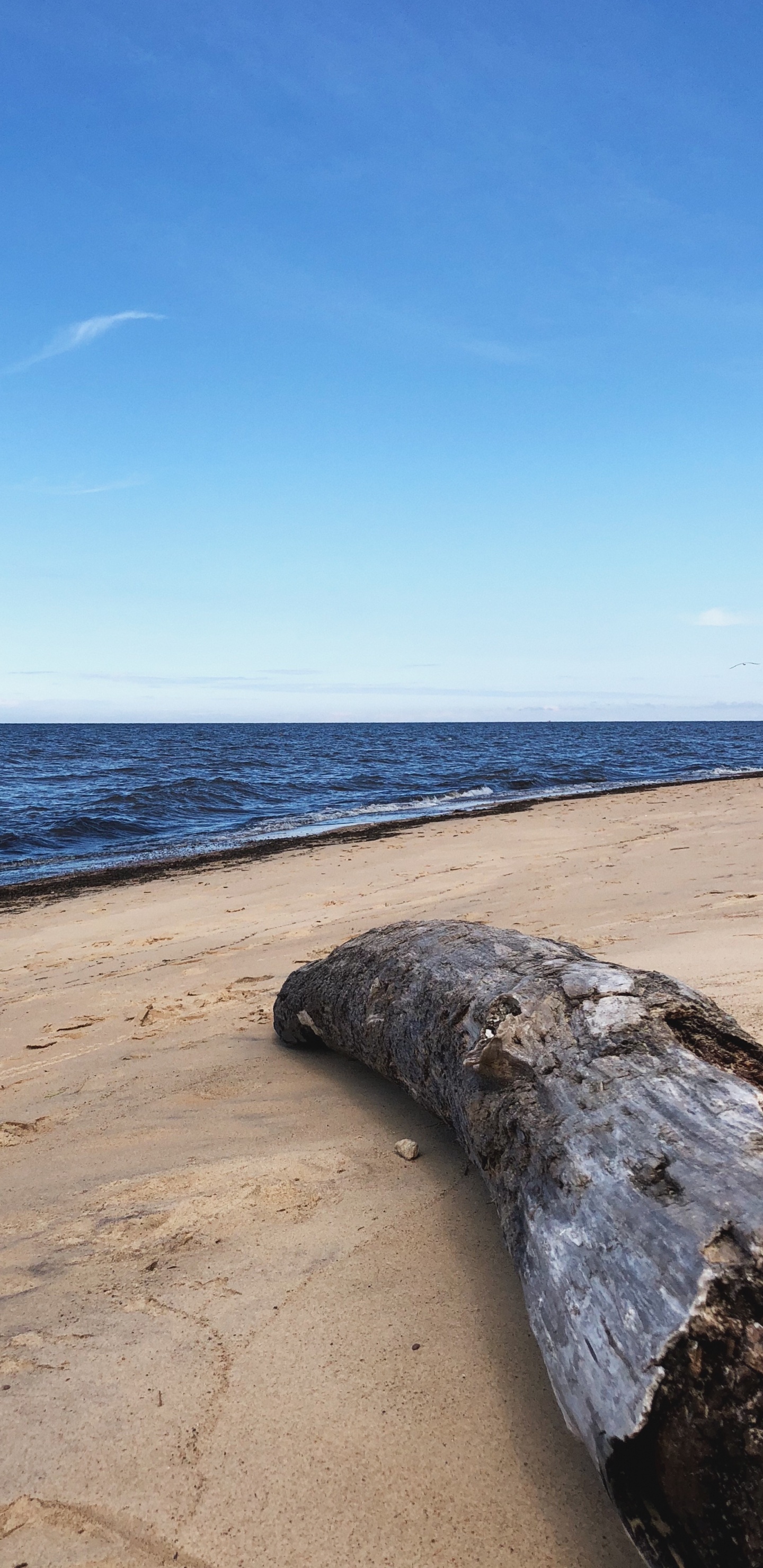 Meer, Strand, Physik, Wissenschaft, Ufer. Wallpaper in 1440x2960 Resolution