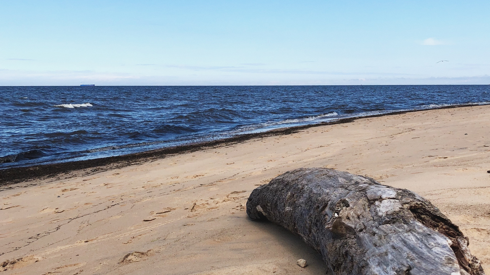 Meer, Strand, Physik, Wissenschaft, Ufer. Wallpaper in 1920x1080 Resolution