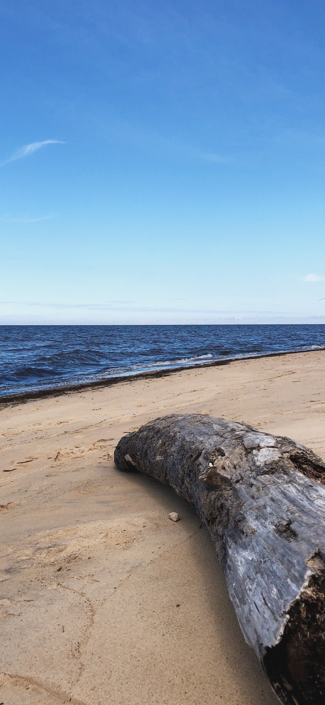 Sea, Beach, Physics, Science, Shore. Wallpaper in 1125x2436 Resolution
