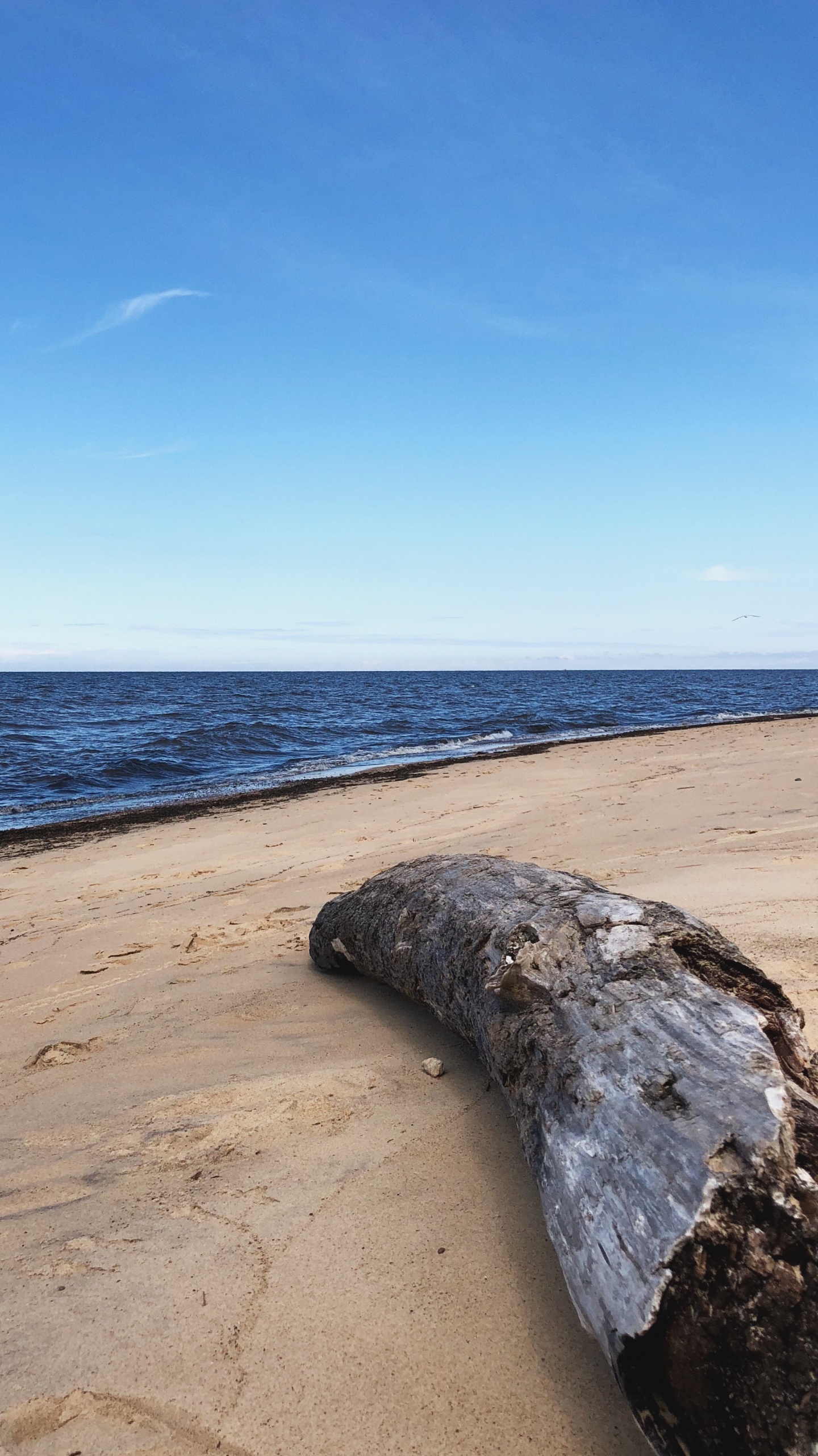 Sea, Beach, Physics, Science, Shore. Wallpaper in 1440x2560 Resolution