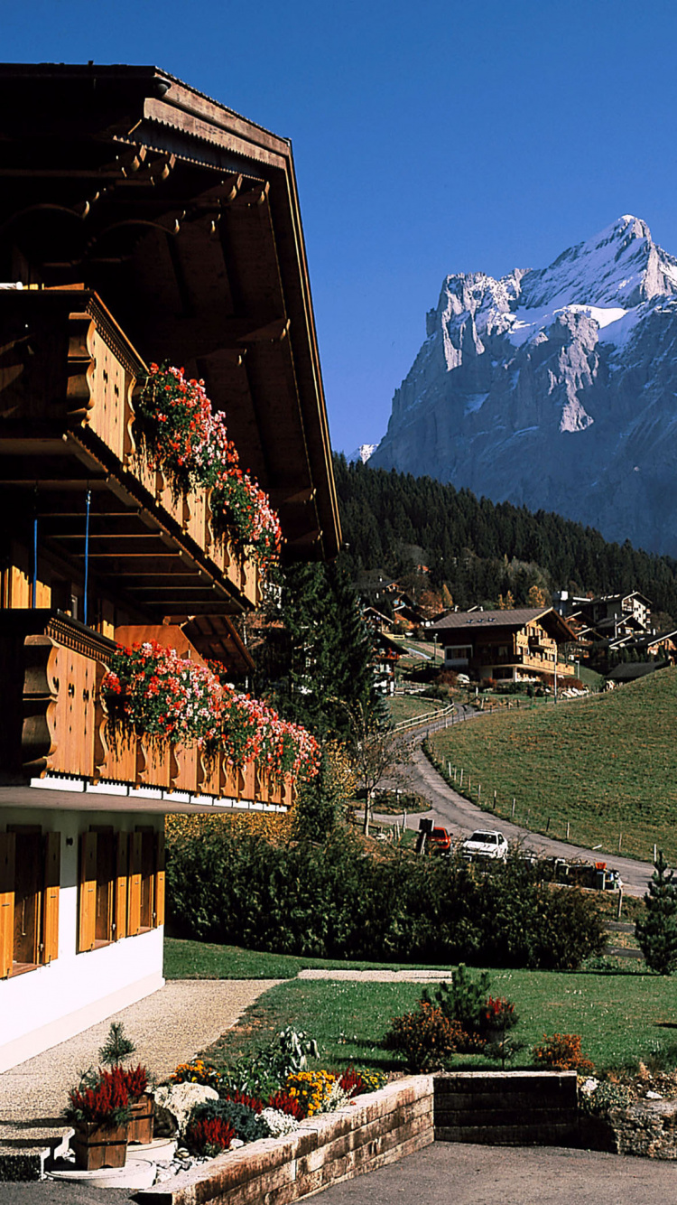 Casa Marrón y Blanca Cerca de Árboles Verdes y Montañas Cubiertas de Nieve Durante el Día. Wallpaper in 750x1334 Resolution