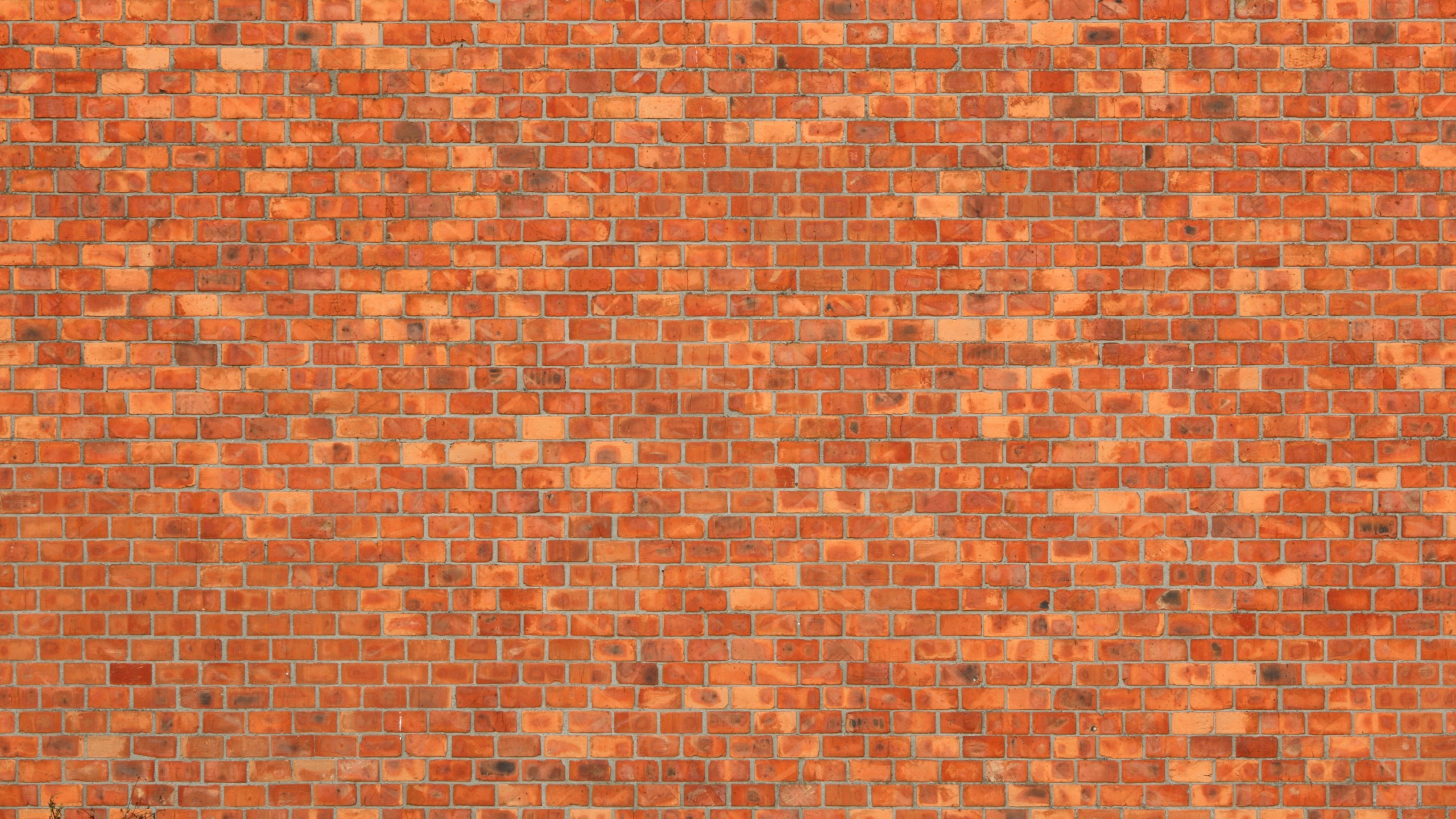Brown and White Brick Wall. Wallpaper in 2560x1440 Resolution