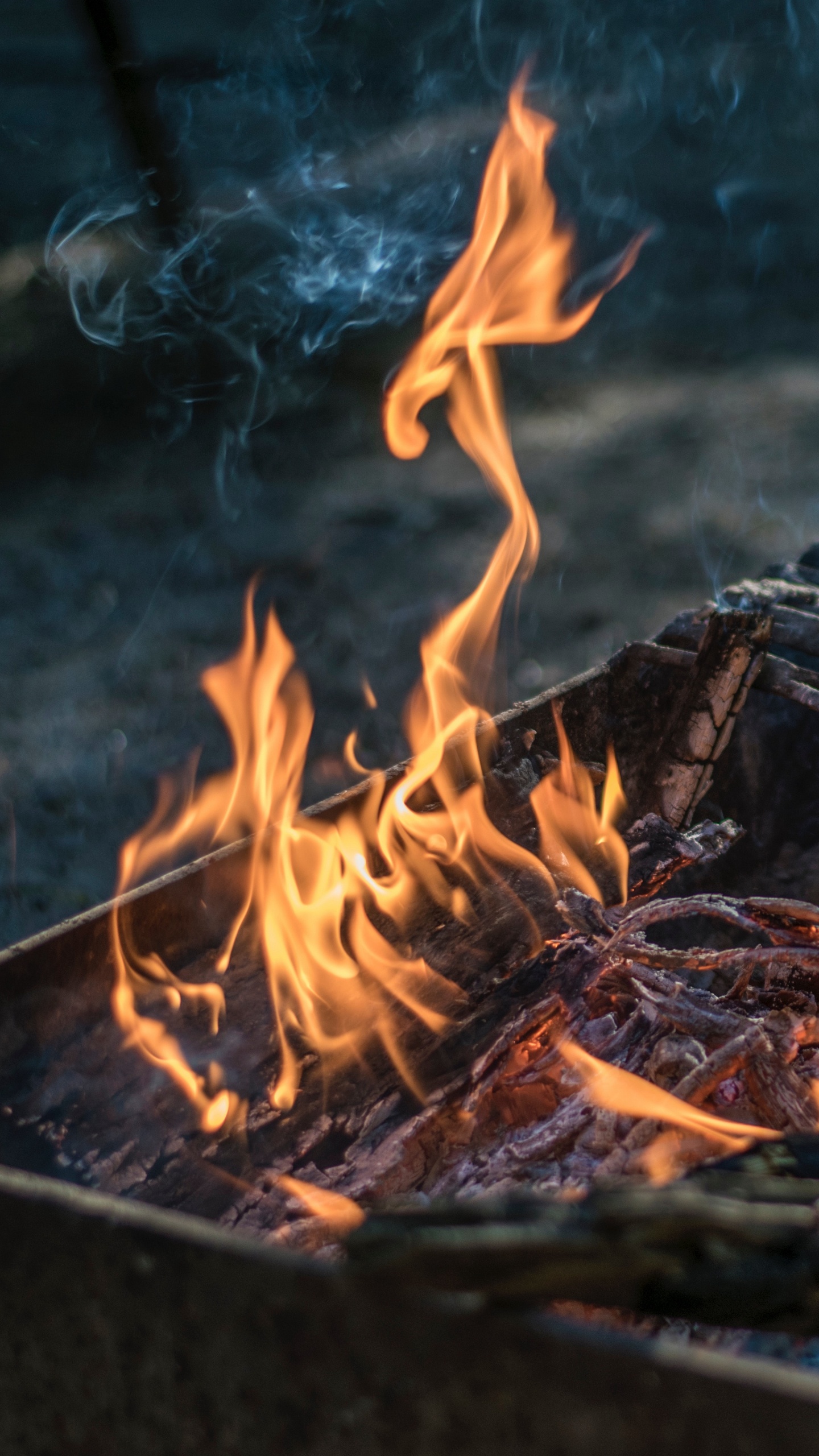 Llama, Fuego, Barbacoa, Manzana, IOS 14. Wallpaper in 1440x2560 Resolution