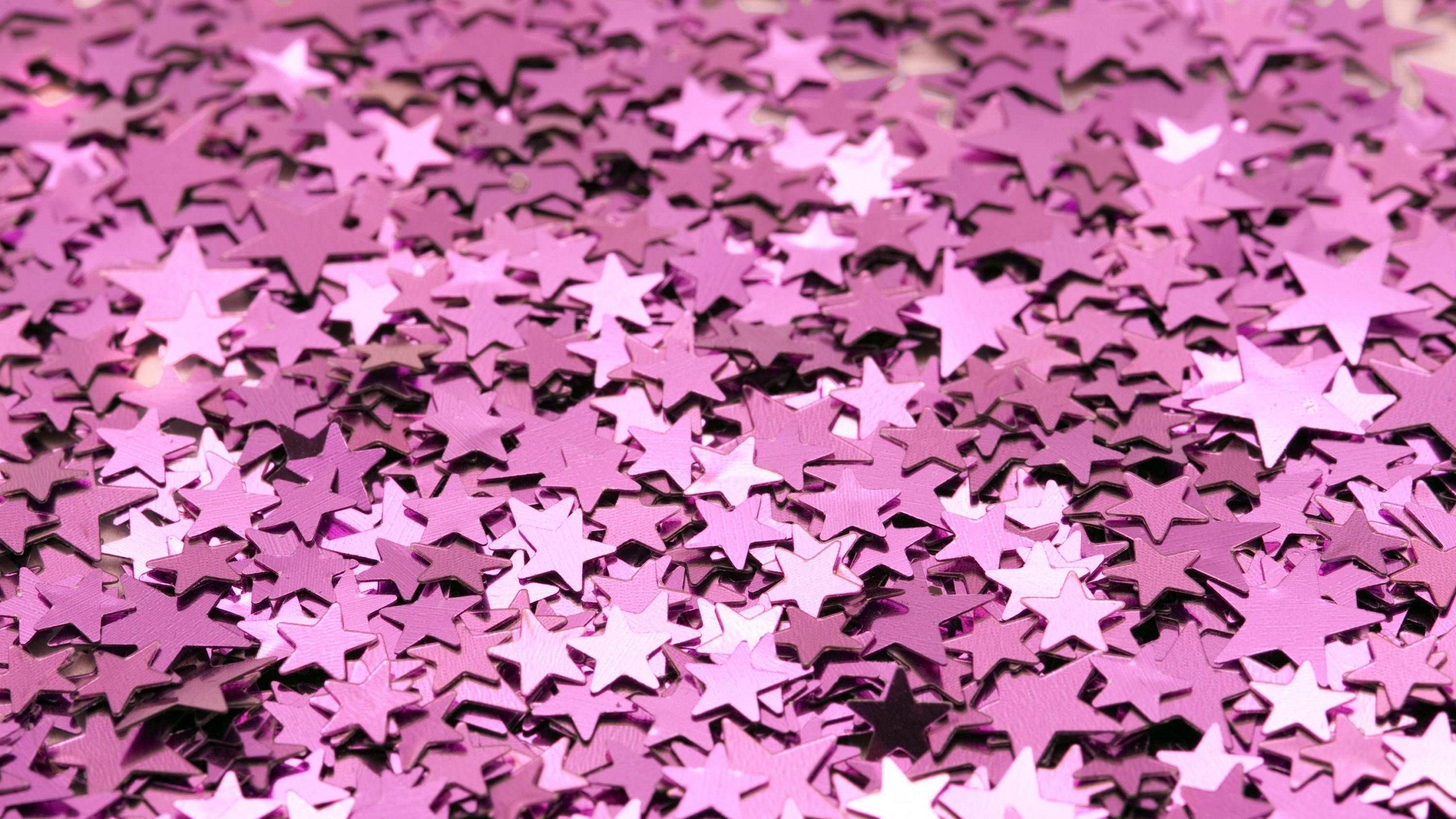 Feuilles Vertes au Sol. Wallpaper in 2560x1440 Resolution