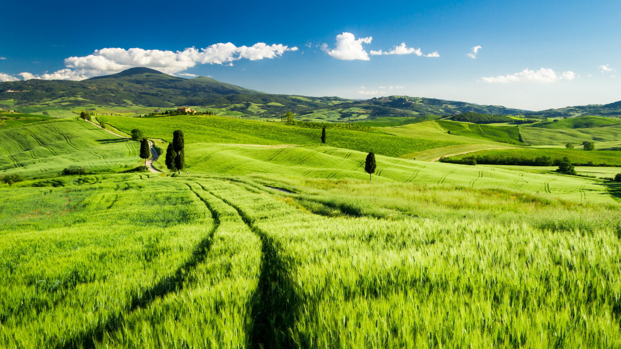 Green Grass Field Under Blue Sky During Daytime. Wallpaper in 1280x720 Resolution