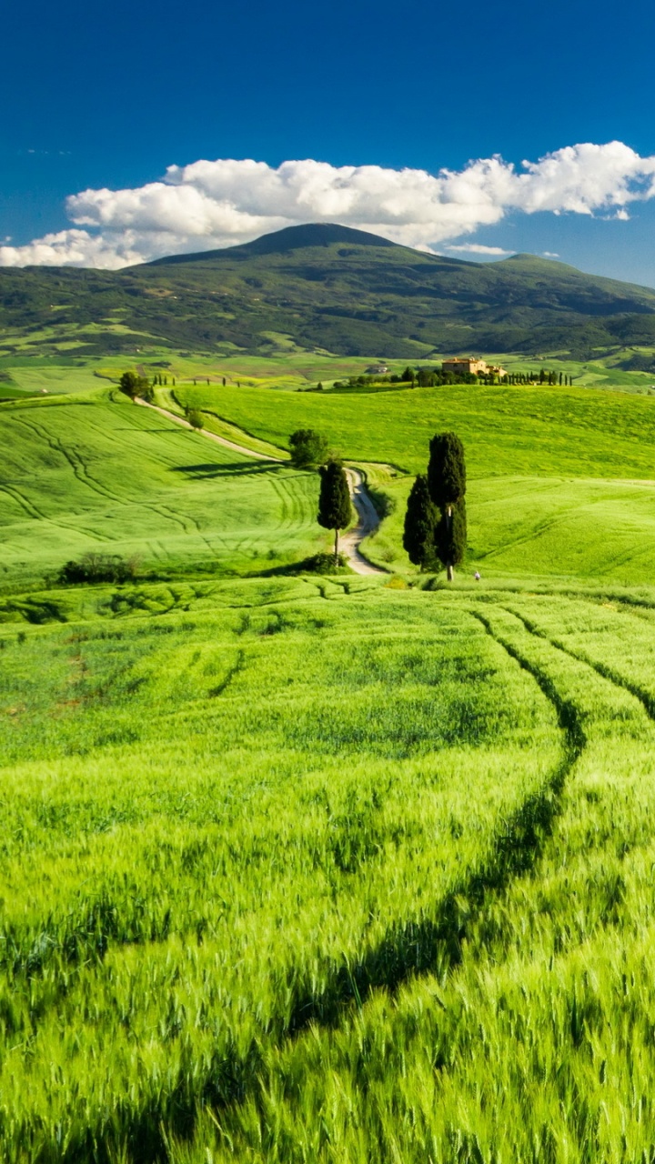 Green Grass Field Under Blue Sky During Daytime. Wallpaper in 720x1280 Resolution