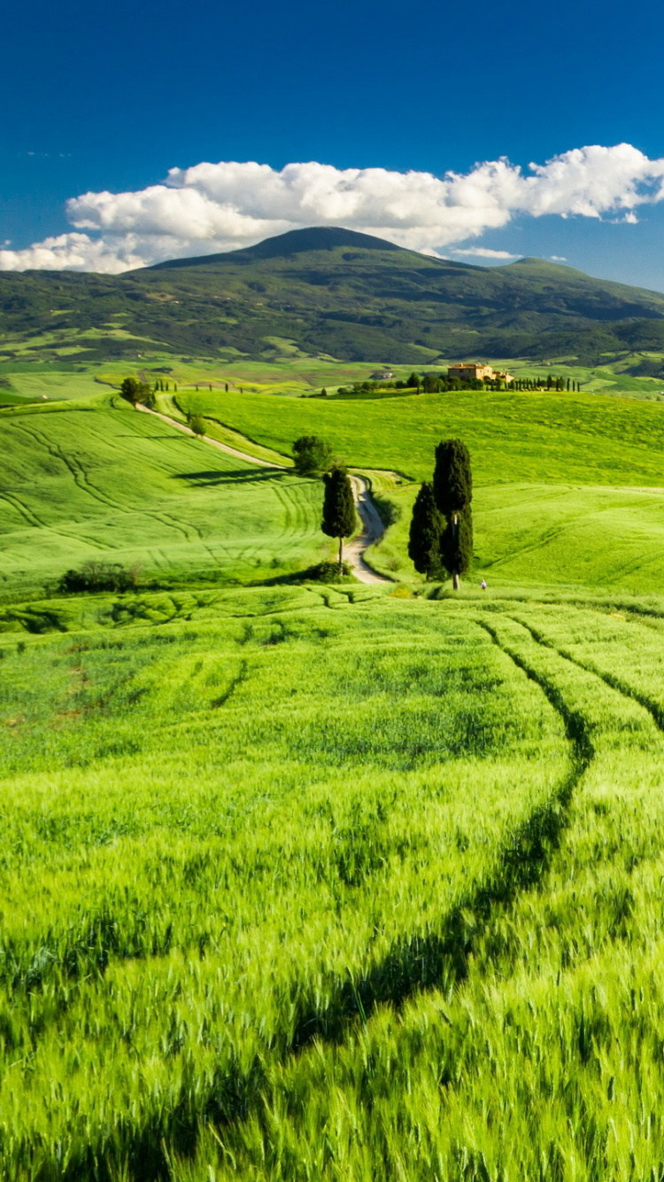 Green Grass Field Under Blue Sky During Daytime. Wallpaper in 750x1334 Resolution