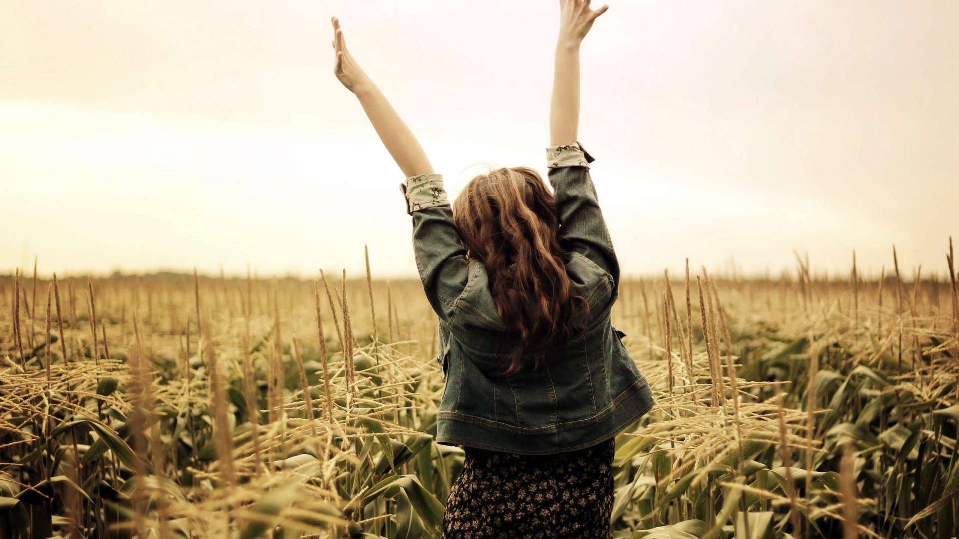 Grass Family, Crop, Harvest, Woman, Girl. Wallpaper in 1920x1080 Resolution