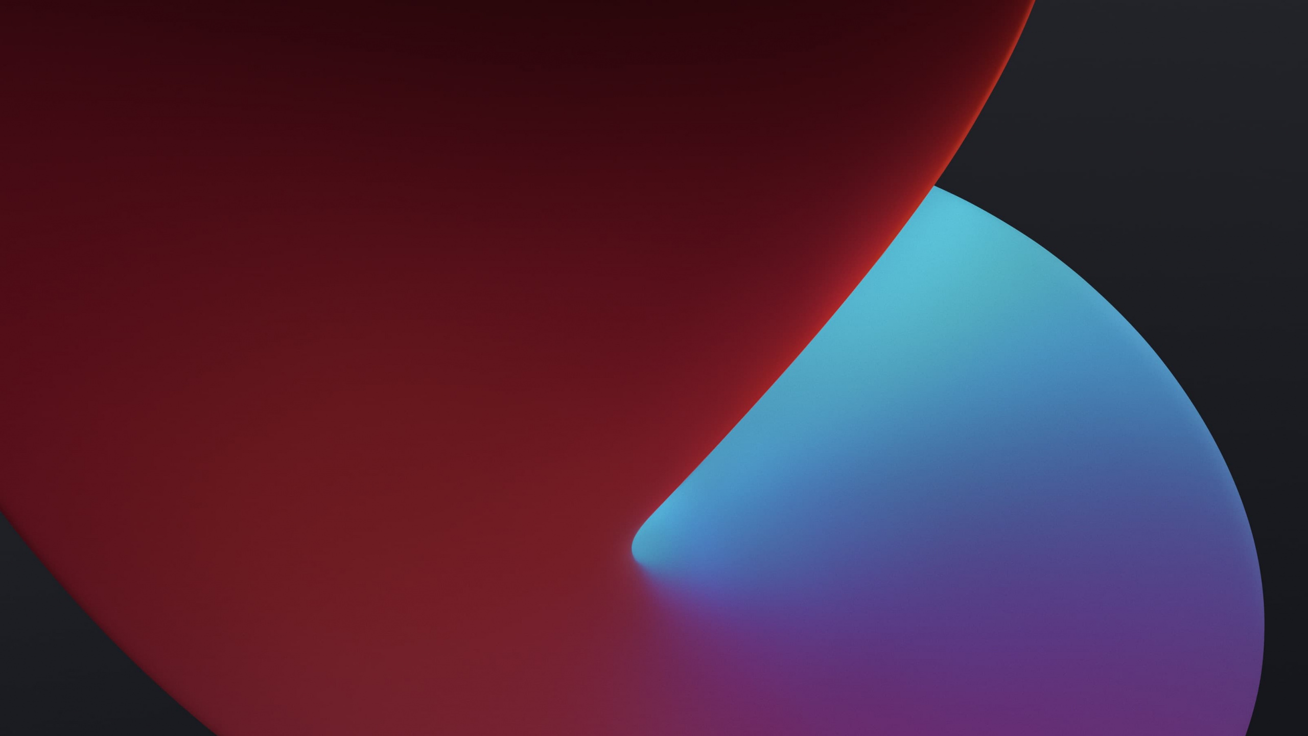 Ipad, Apple, IPad 8, Manzana, IOS 14. Wallpaper in 2560x1440 Resolution