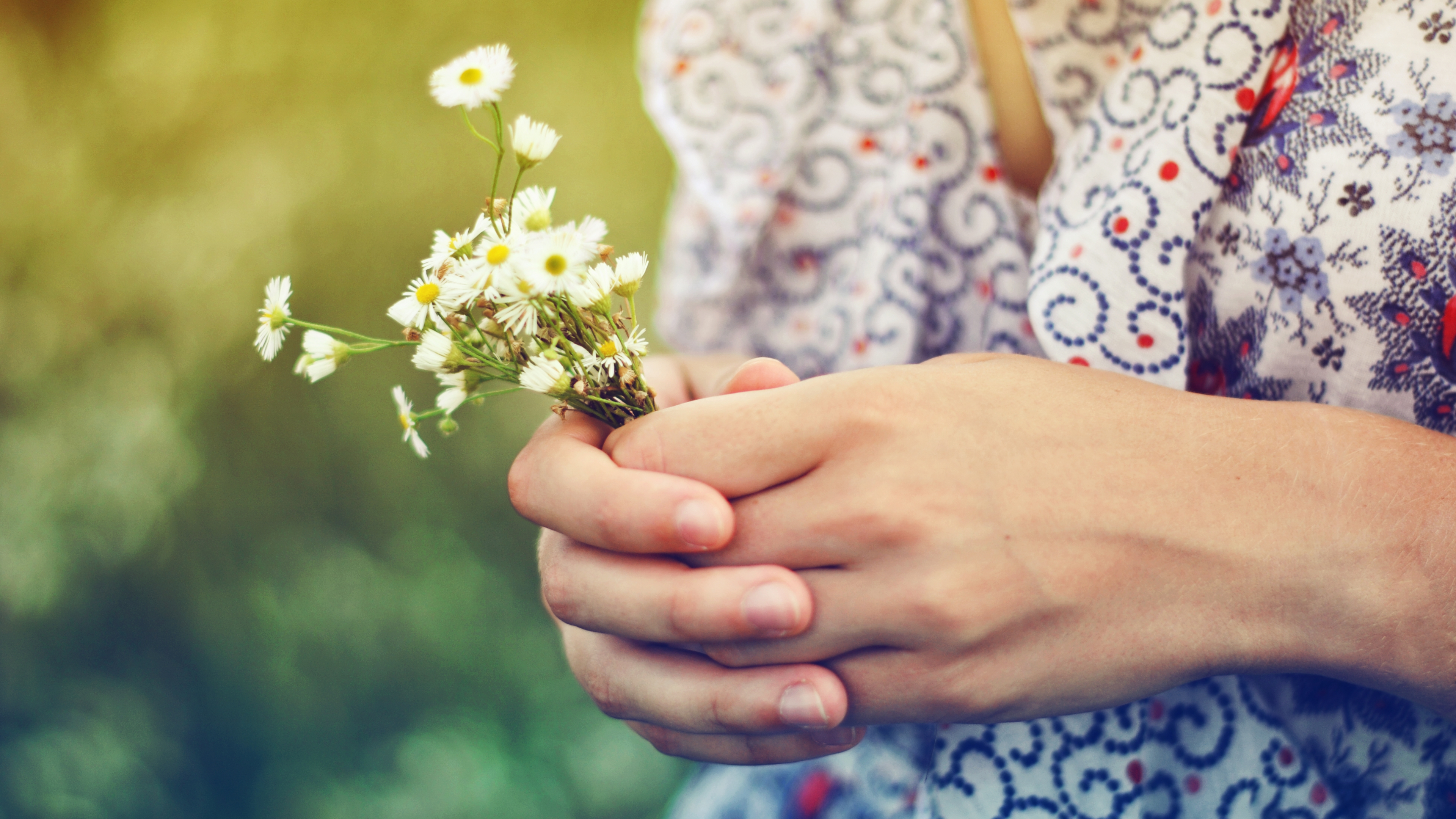 Person Holding Yellow and White Flower. Wallpaper in 3840x2160 Resolution