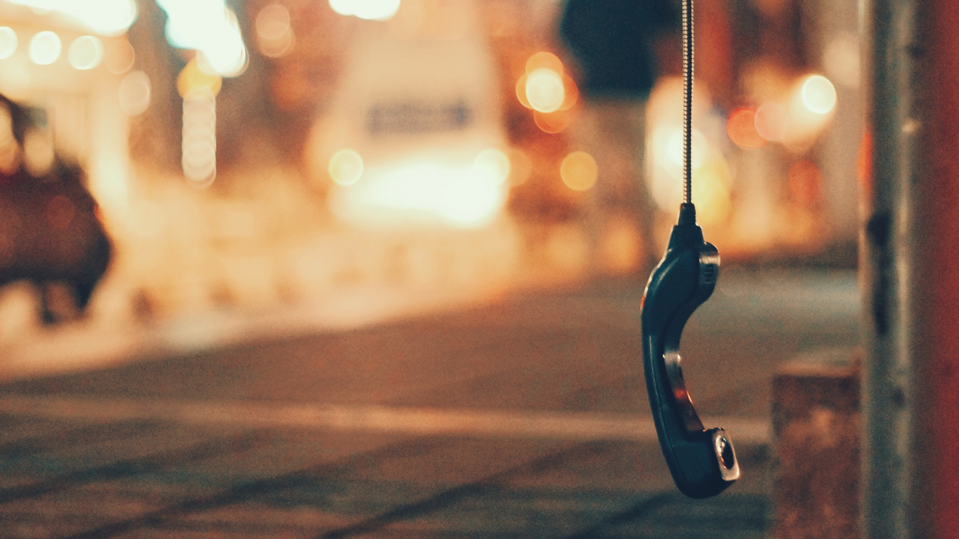 Oiseau Noir et Blanc Dans la Rue Pendant la Nuit. Wallpaper in 1366x768 Resolution