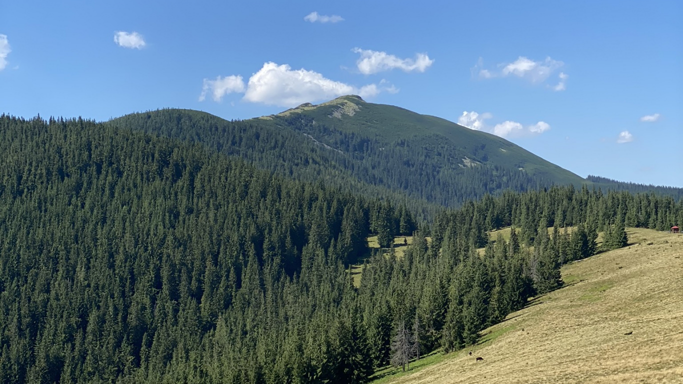 Grassland, Road, Mountainous Landforms, Nature, Vegetation. Wallpaper in 1366x768 Resolution