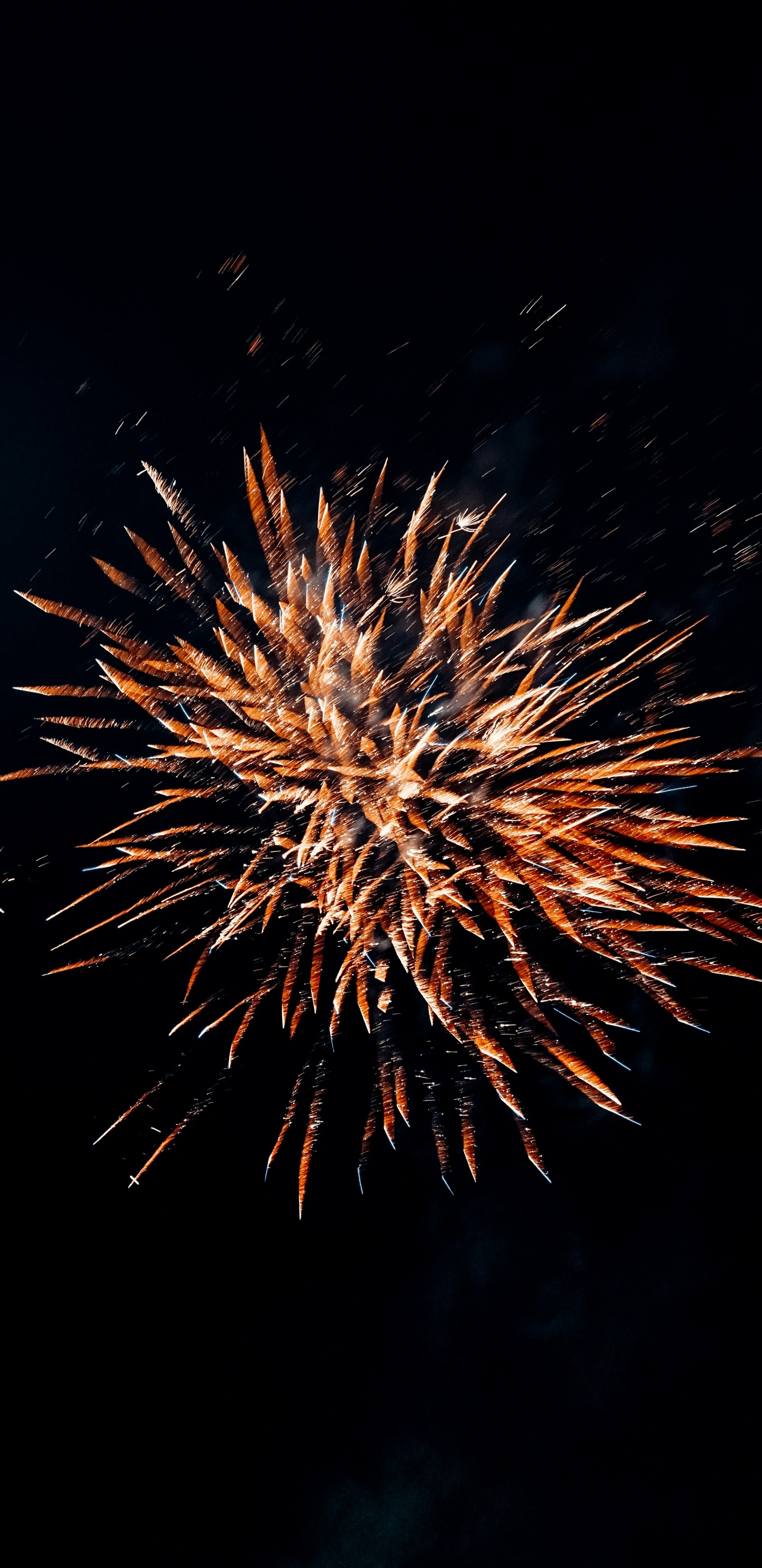 Feuerwerk, Seor Zorro - Tapas-Kneipe, Silvester, Partei, Silvesterfeuerwerk. Wallpaper in 1440x2960 Resolution