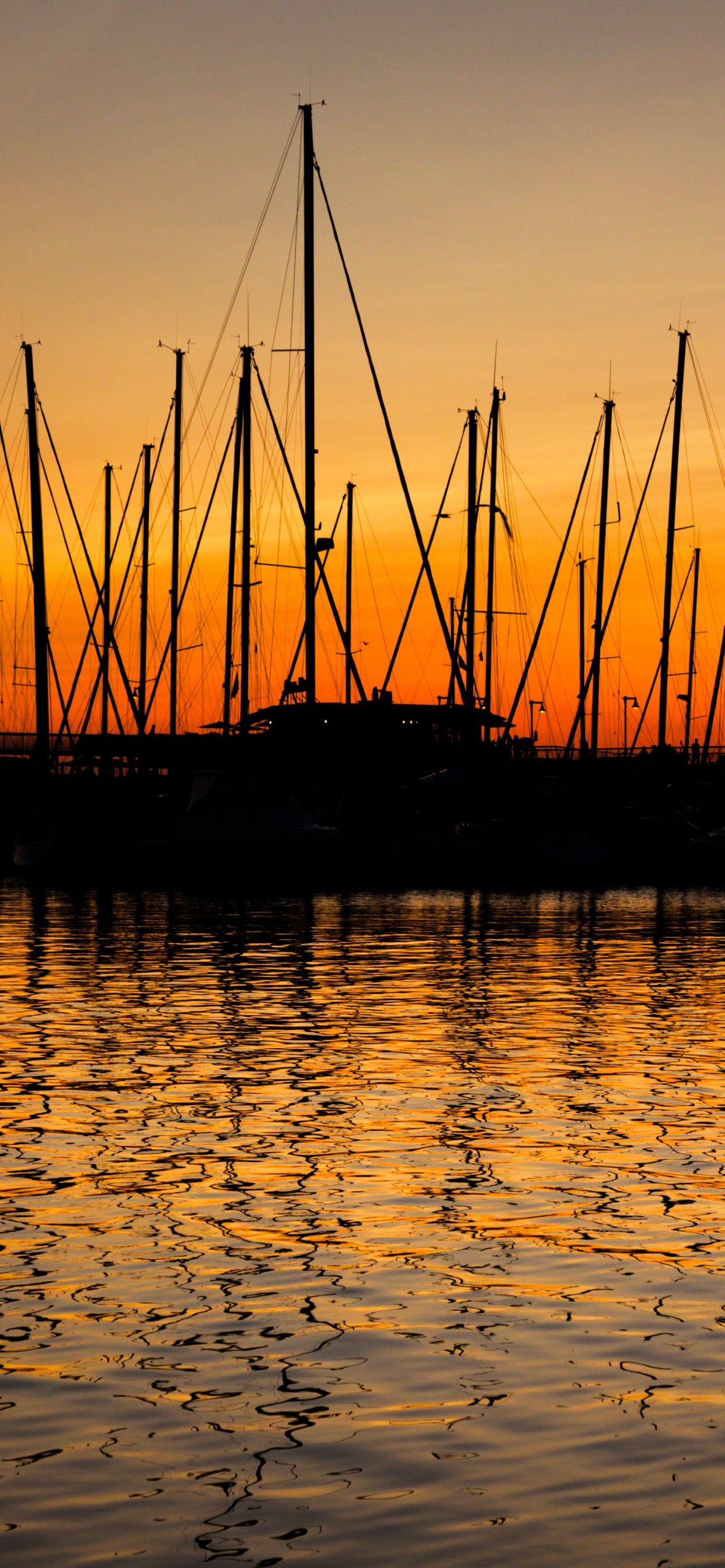 Silueta de Barco Sobre el Agua Durante la Puesta de Sol. Wallpaper in 1242x2688 Resolution