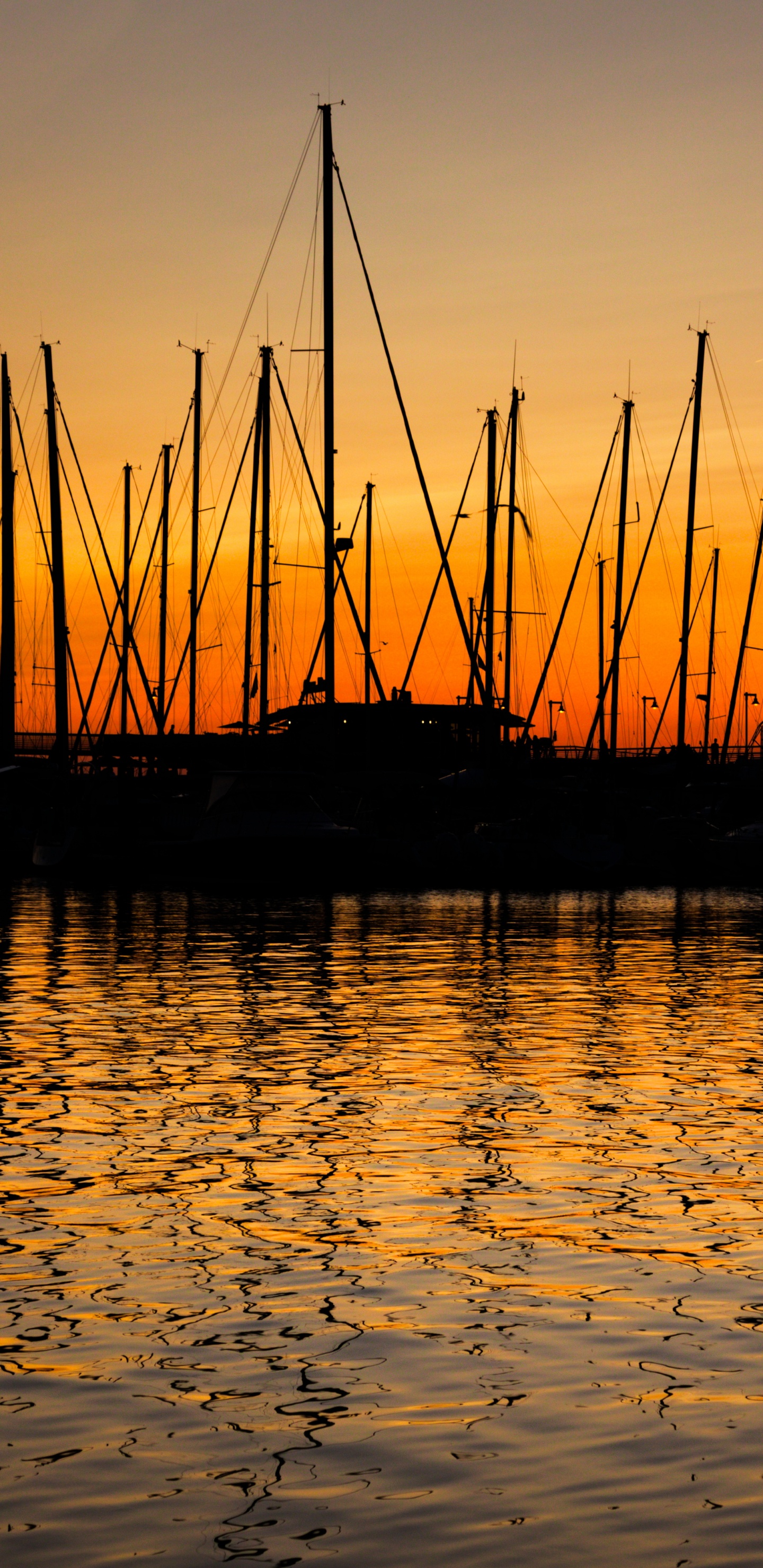 Silueta de Barco Sobre el Agua Durante la Puesta de Sol. Wallpaper in 1440x2960 Resolution
