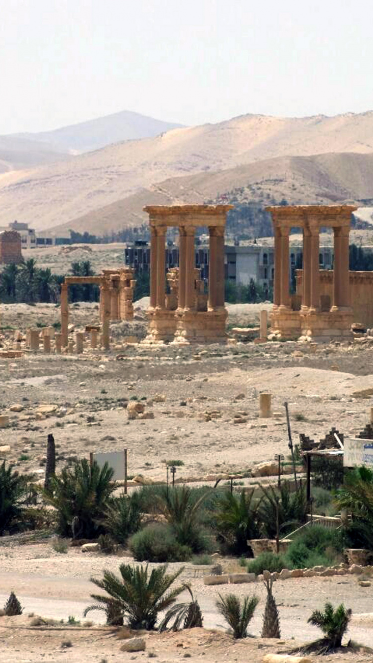 Green Palm Trees Near Brown Concrete Building During Daytime. Wallpaper in 750x1334 Resolution