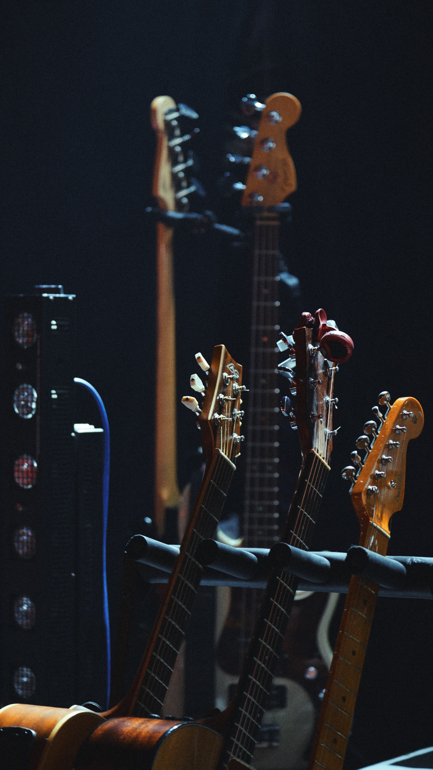 Musik, Gezupfte Saiteninstrumente, Musiker, Bass, Leistung. Wallpaper in 1440x2560 Resolution