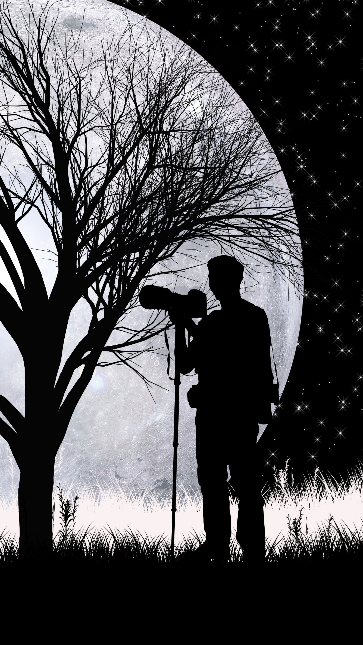 Lobo, Silueta, Luna, Arte, Sucursal. Wallpaper in 1440x2560 Resolution