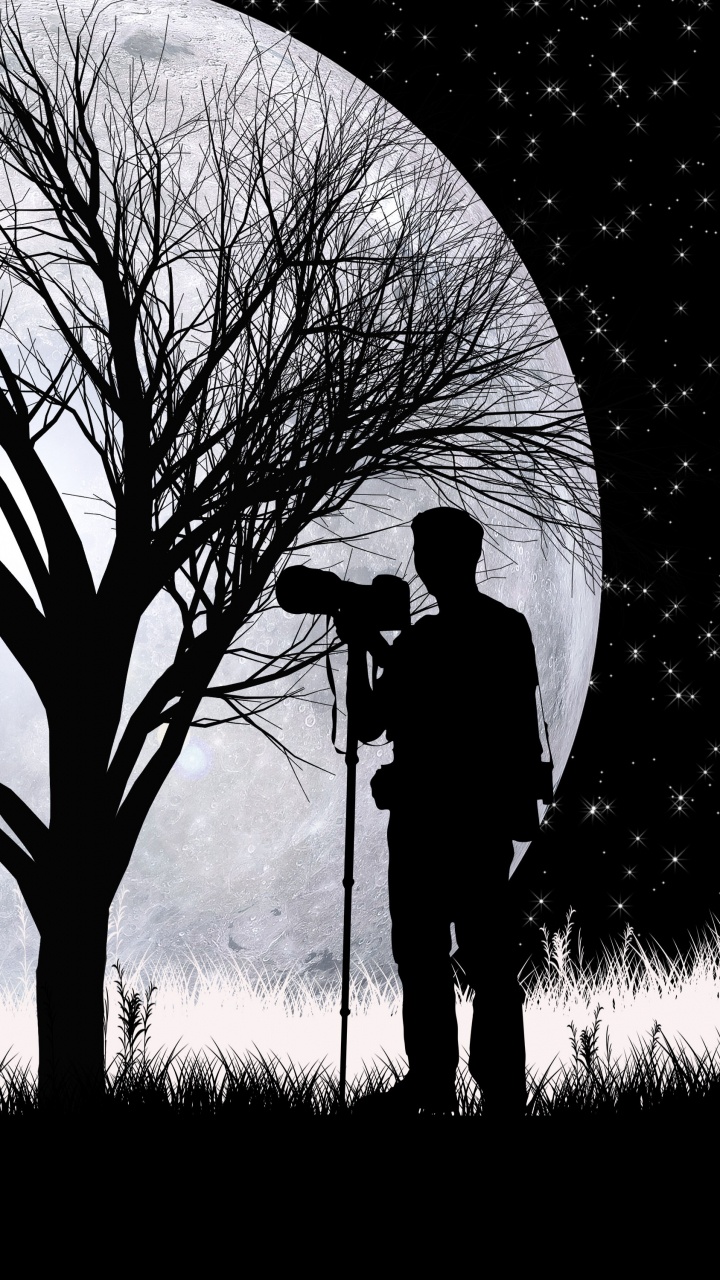 Wolf, Silhouette, Mond, Kunst, Baum. Wallpaper in 720x1280 Resolution