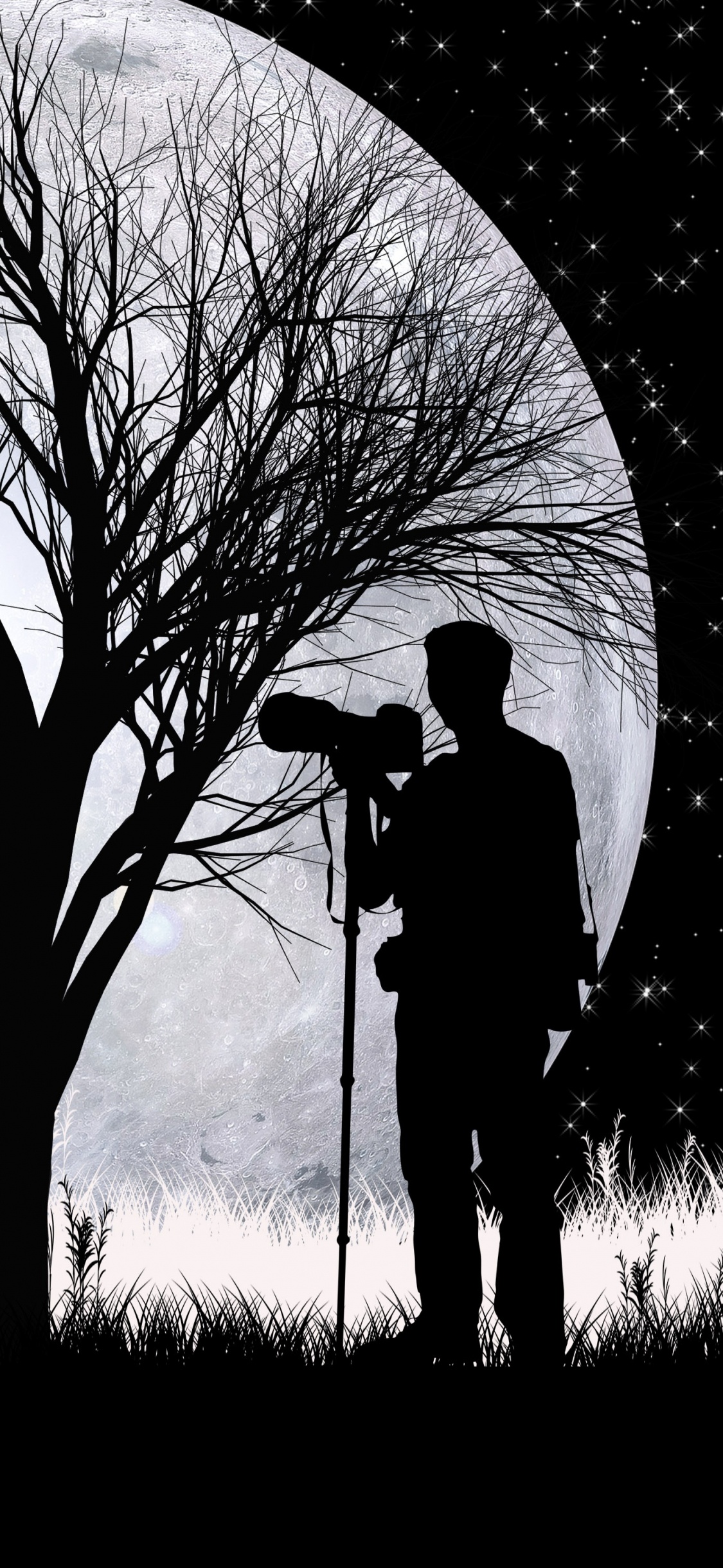 Silhouette, Art, Monochrome, Plantes Ligneuses, Noir et Blanc. Wallpaper in 1125x2436 Resolution