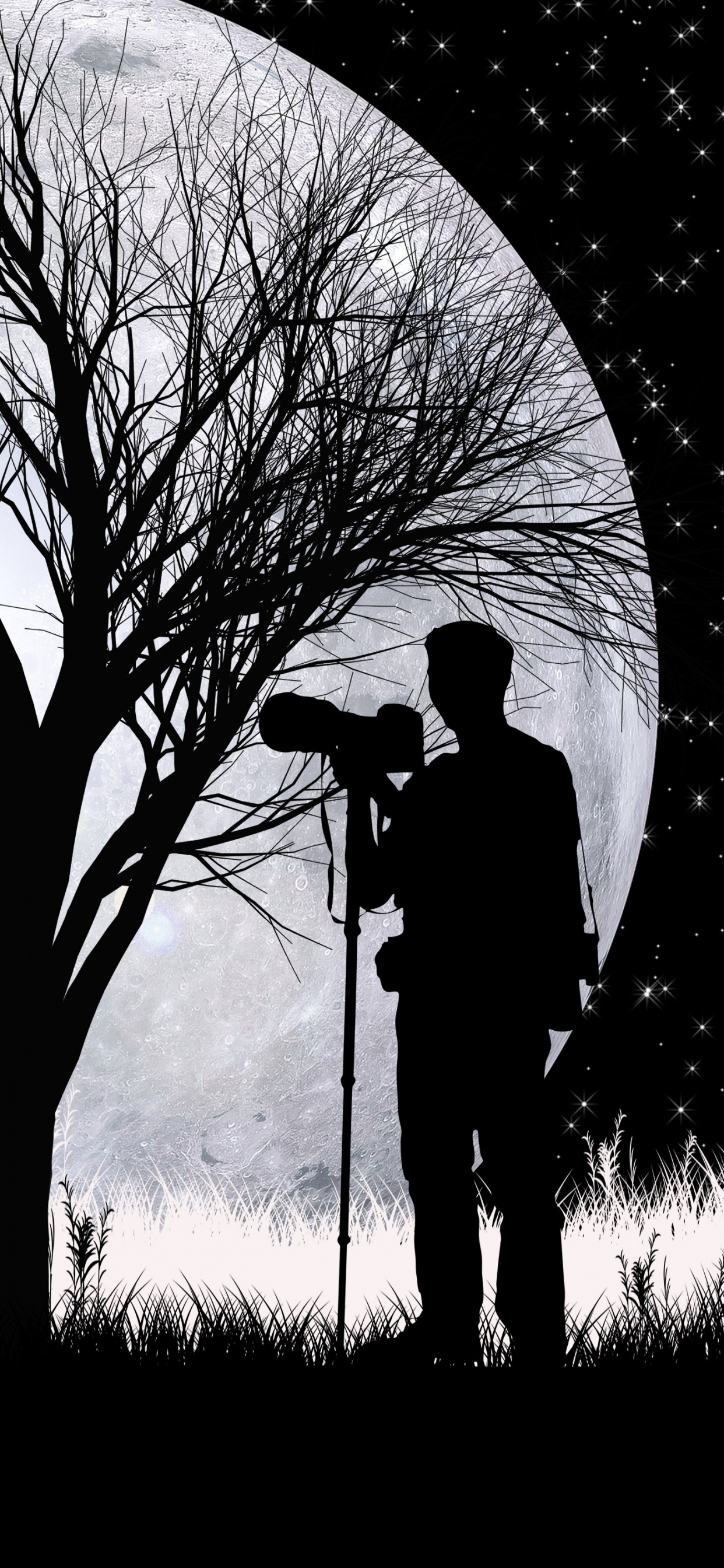 Silhouette, Art, Monochrome, Plantes Ligneuses, Noir et Blanc. Wallpaper in 1242x2688 Resolution