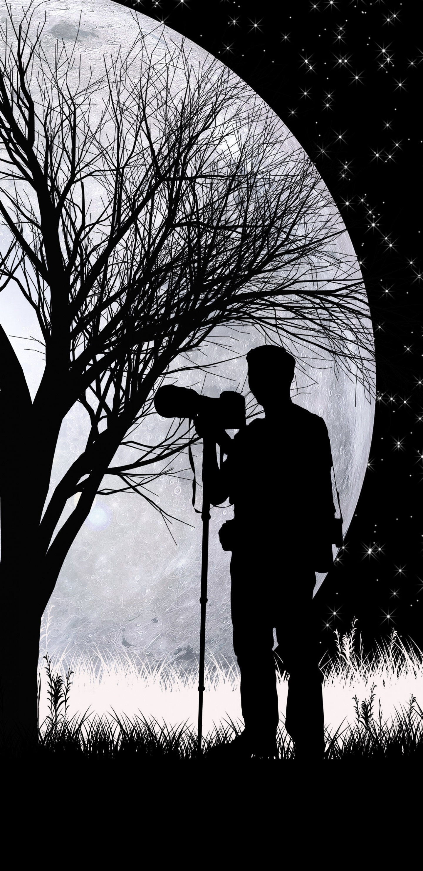 Silhouette, Art, Monochrome, Plantes Ligneuses, Noir et Blanc. Wallpaper in 1440x2960 Resolution