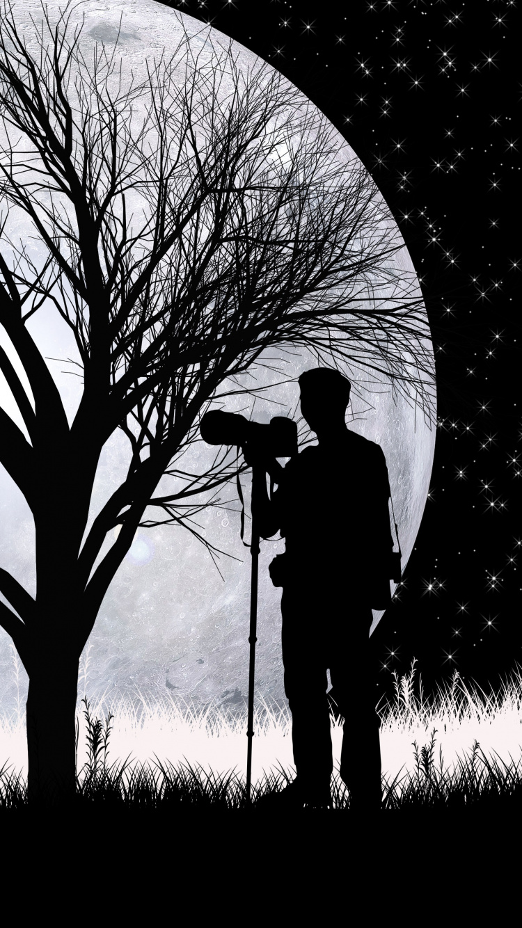 Silhouette, Art, Monochrome, Plantes Ligneuses, Noir et Blanc. Wallpaper in 750x1334 Resolution