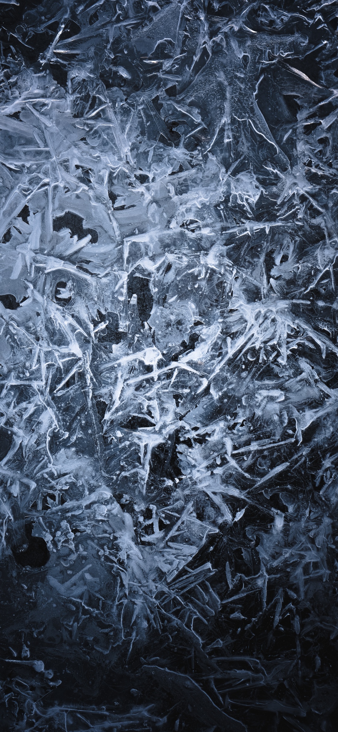 Black, Ice, Freezing, Frost, Black and White. Wallpaper in 1125x2436 Resolution
