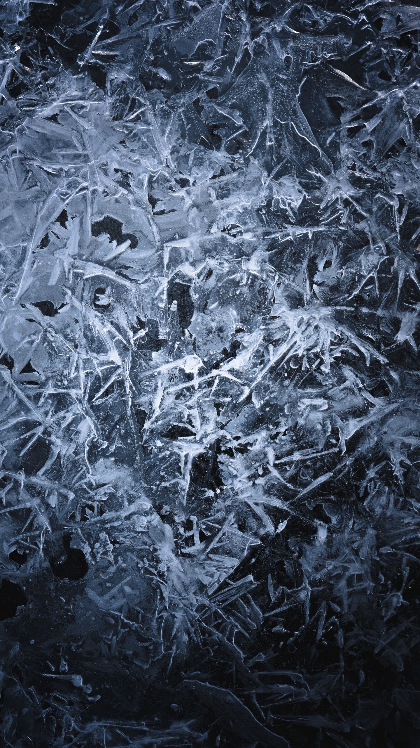 Black, Ice, Freezing, Frost, Black and White. Wallpaper in 1440x2560 Resolution
