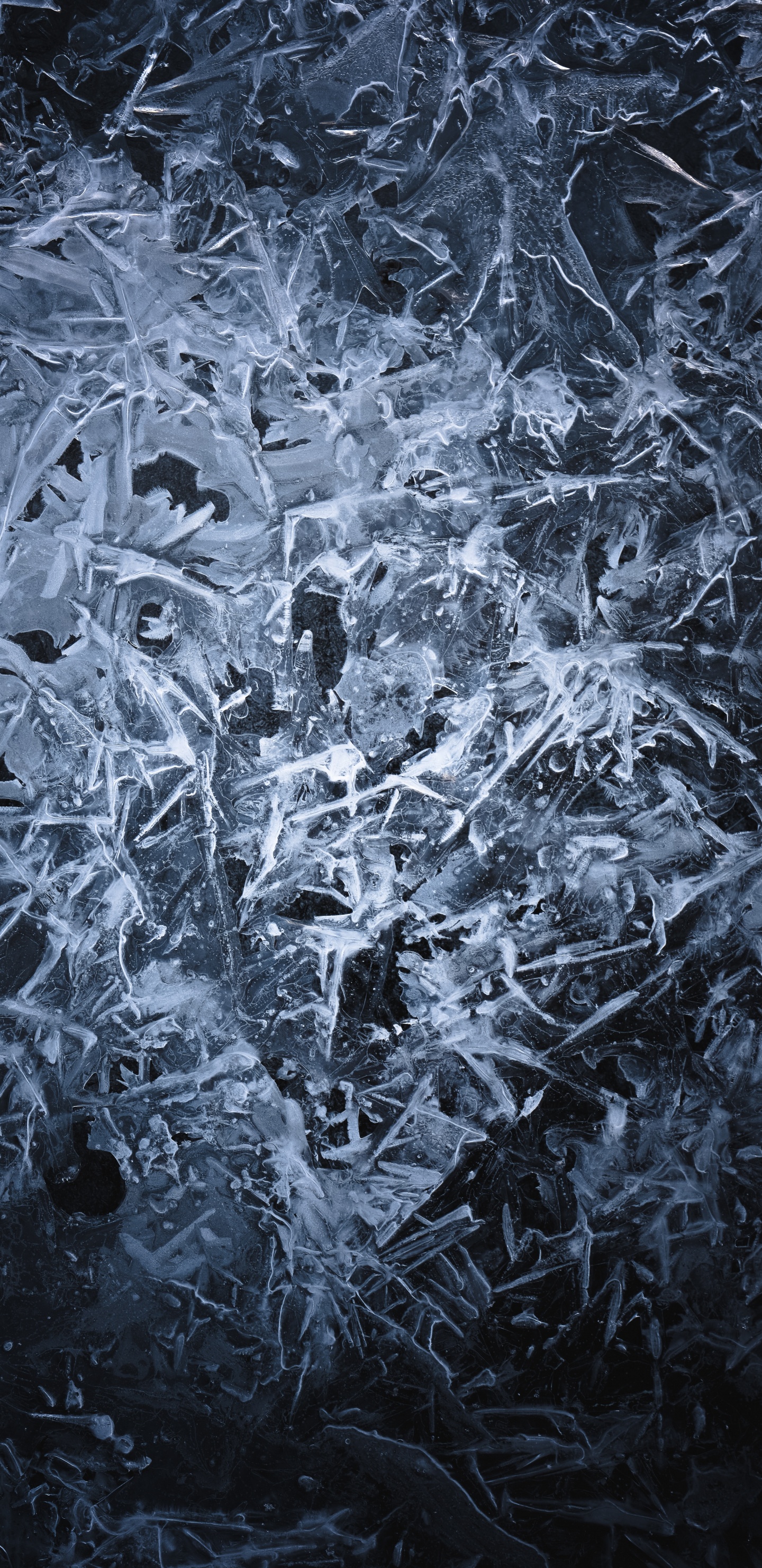 Black, Ice, Freezing, Frost, Black and White. Wallpaper in 1440x2960 Resolution