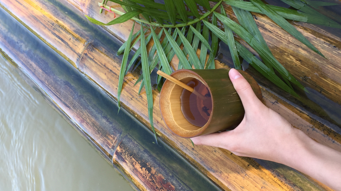 Blatt, Pflanzen-Stammzellen, Palme, Wissenschaft, Biologie. Wallpaper in 1366x768 Resolution