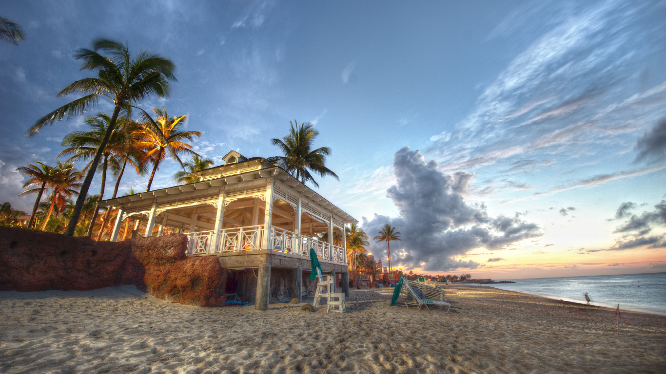 People on Beach During Daytime. Wallpaper in 1366x768 Resolution