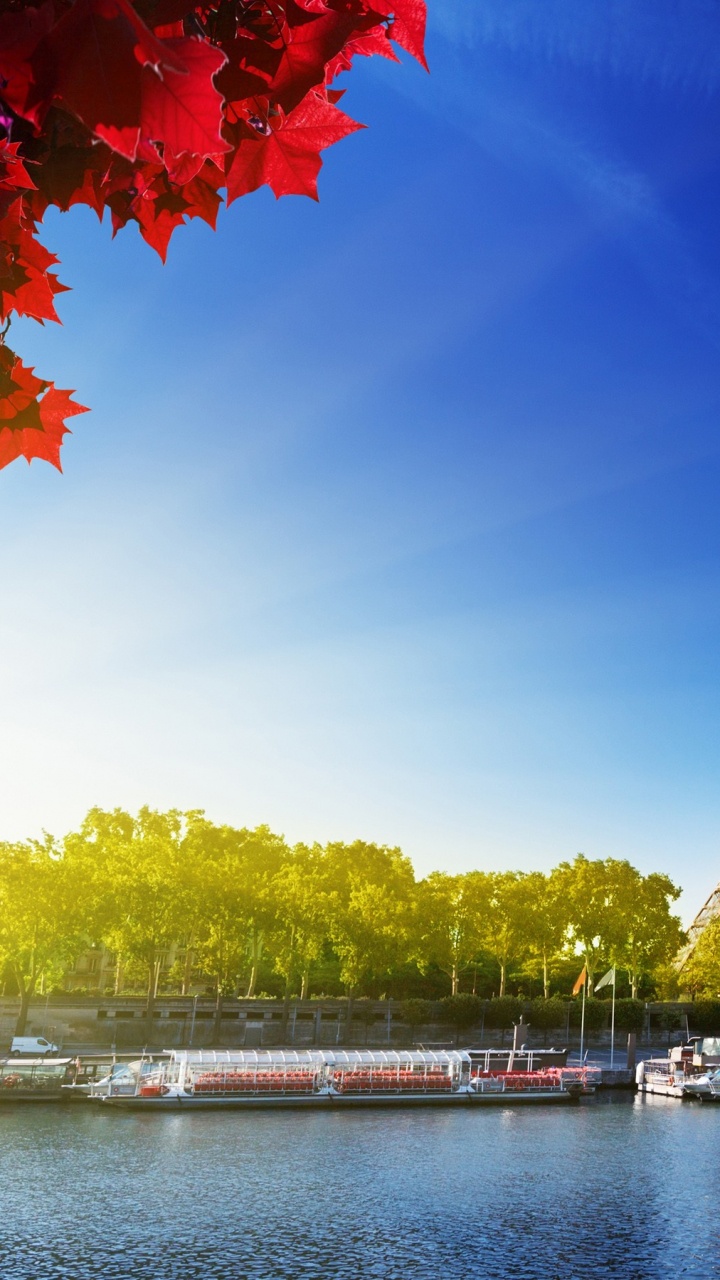 艾菲尔铁塔, 里程碑, 性质, 反射, 旅游业 壁纸 720x1280 允许